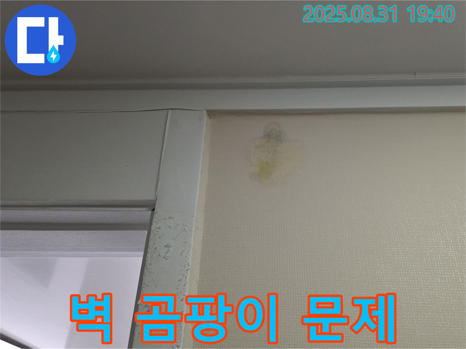 벽 곰팡이 문제 - 성남 분당 정자동 누수 - 전문가 해결