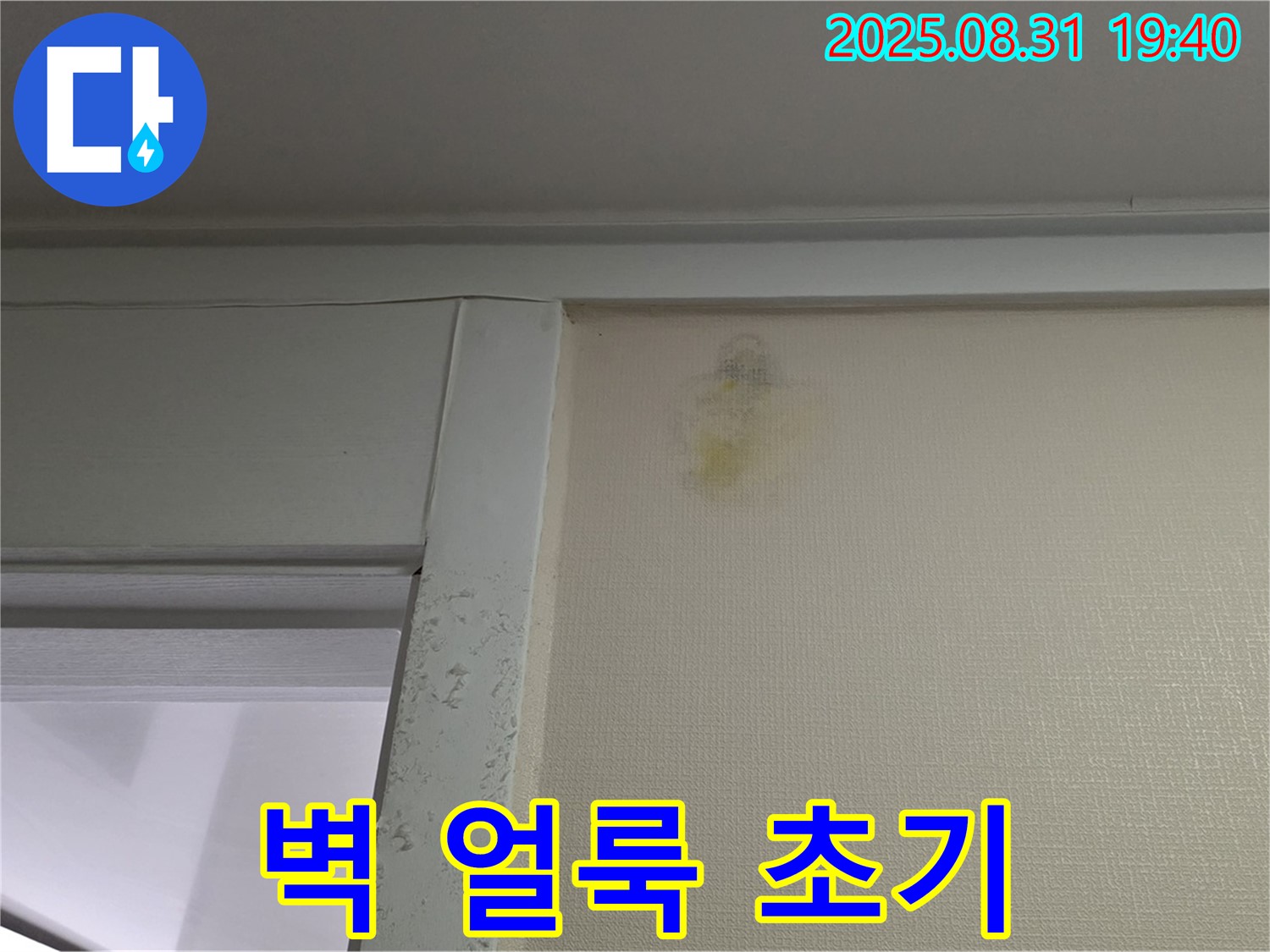 벽 얼룩 초기 증상 - 분당구 운중동 누수 의심