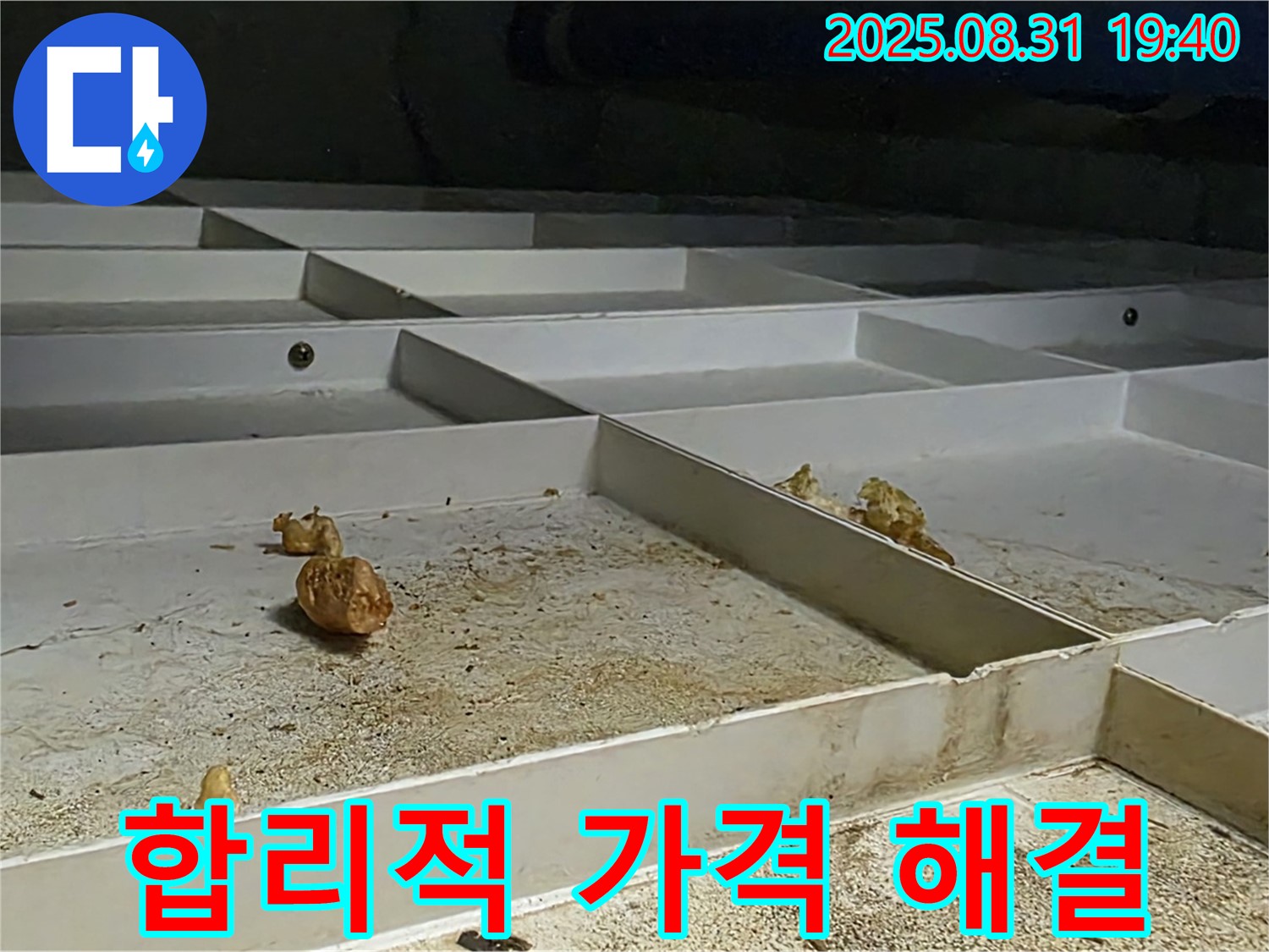 분당 산운로 누수 - 합리적인 가격으로 누수 문제 완벽 해결