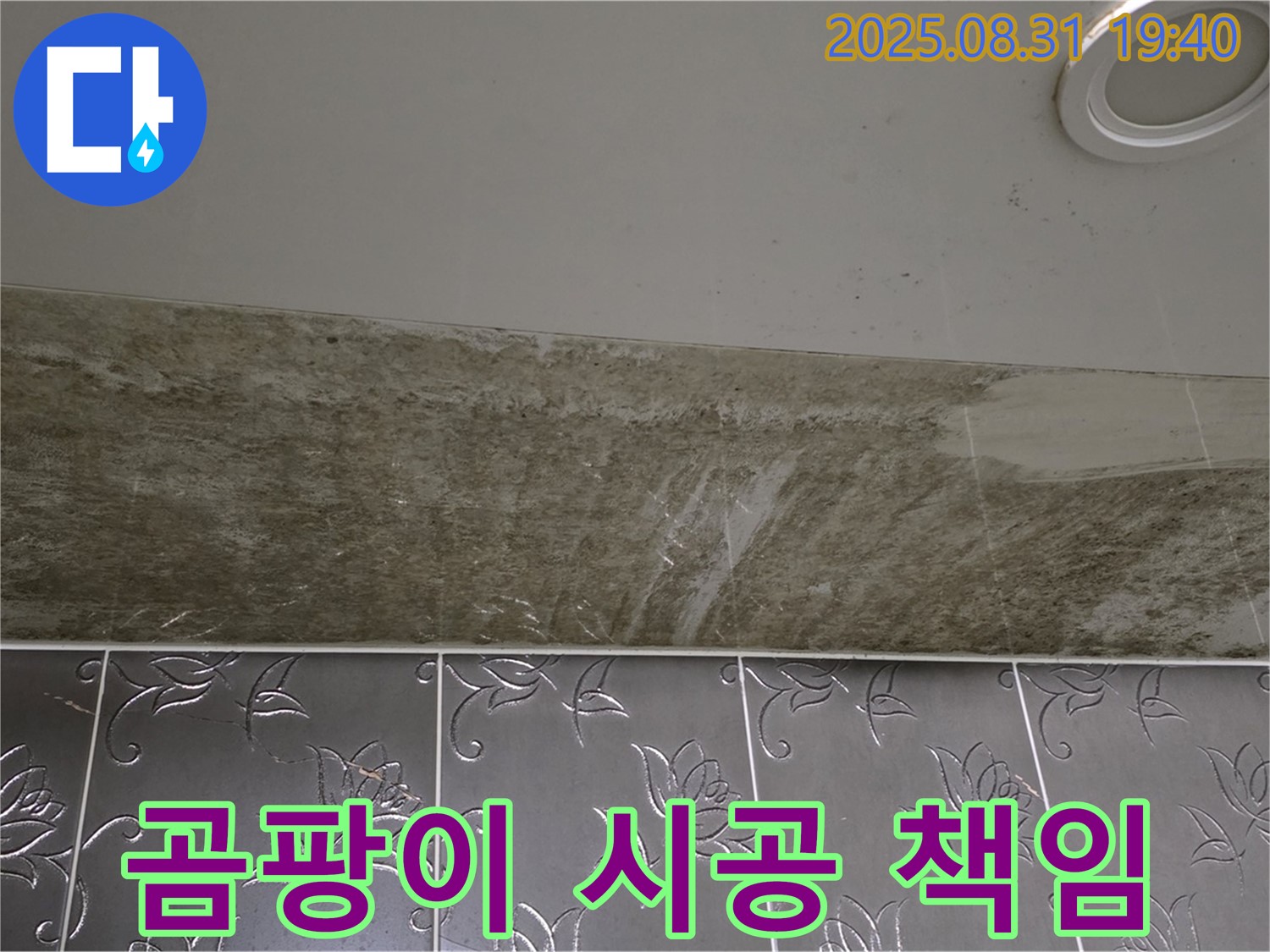 분당 정자동 곰팡이 심한 욕실 천장 누수 - 원인 해결부터 완벽한 시공까지 책임집니다.
