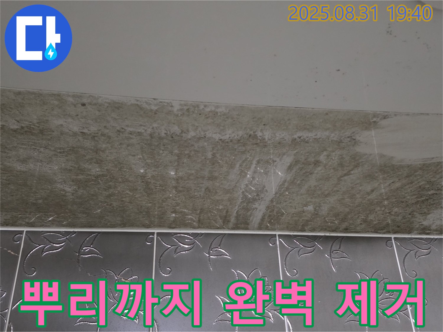분당구 산운로 121 - 곰팡이 뿌리까지 뽑는 완벽 시공