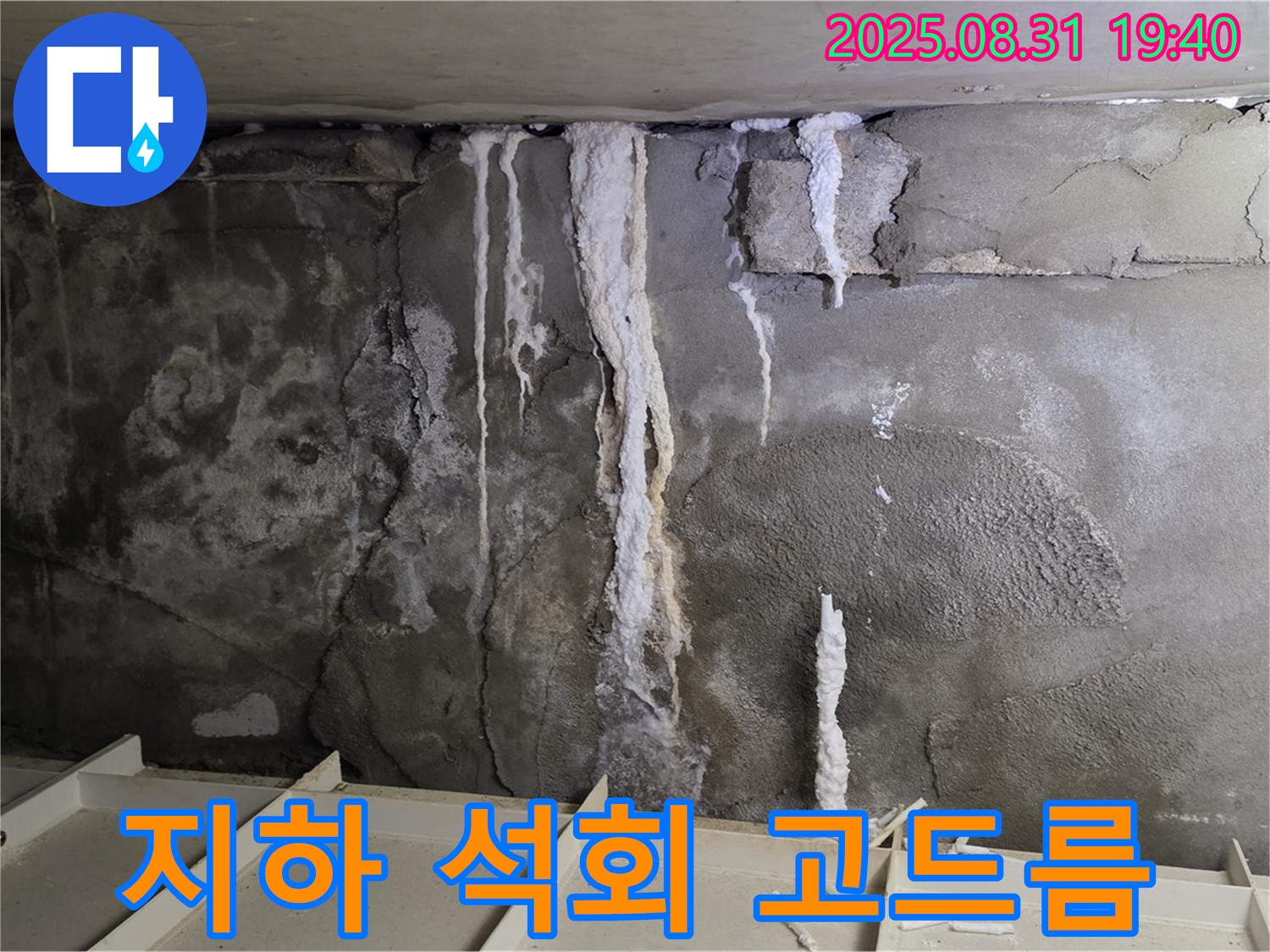 산운동 다세대 주택 지하 콘크리트 누수 - 석회 고드름, 콘크리트 부식과 건물 붕괴 위험 증가