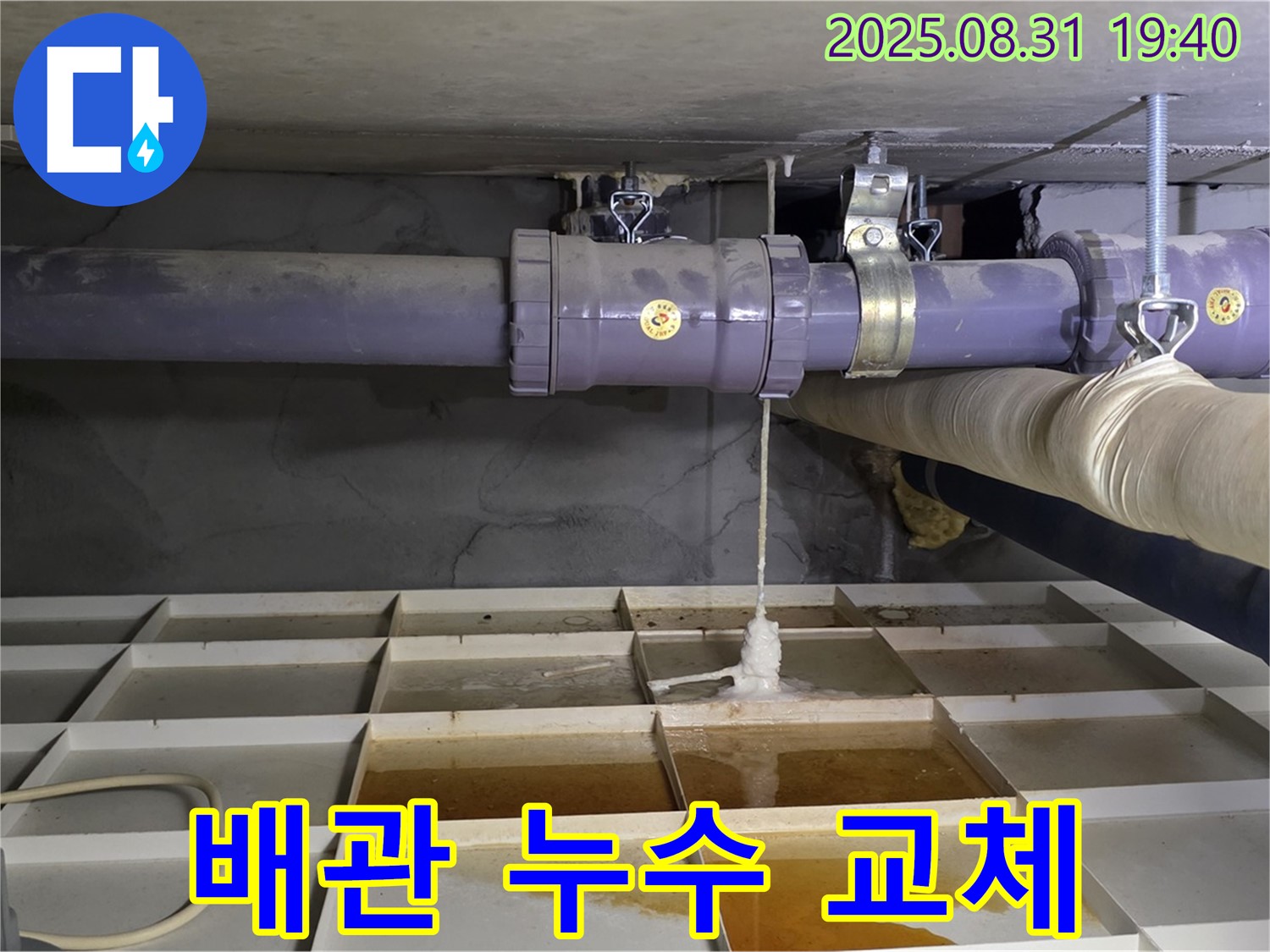 산운로 누수 - 낡은 배관 교체로 누수 완벽 해결!