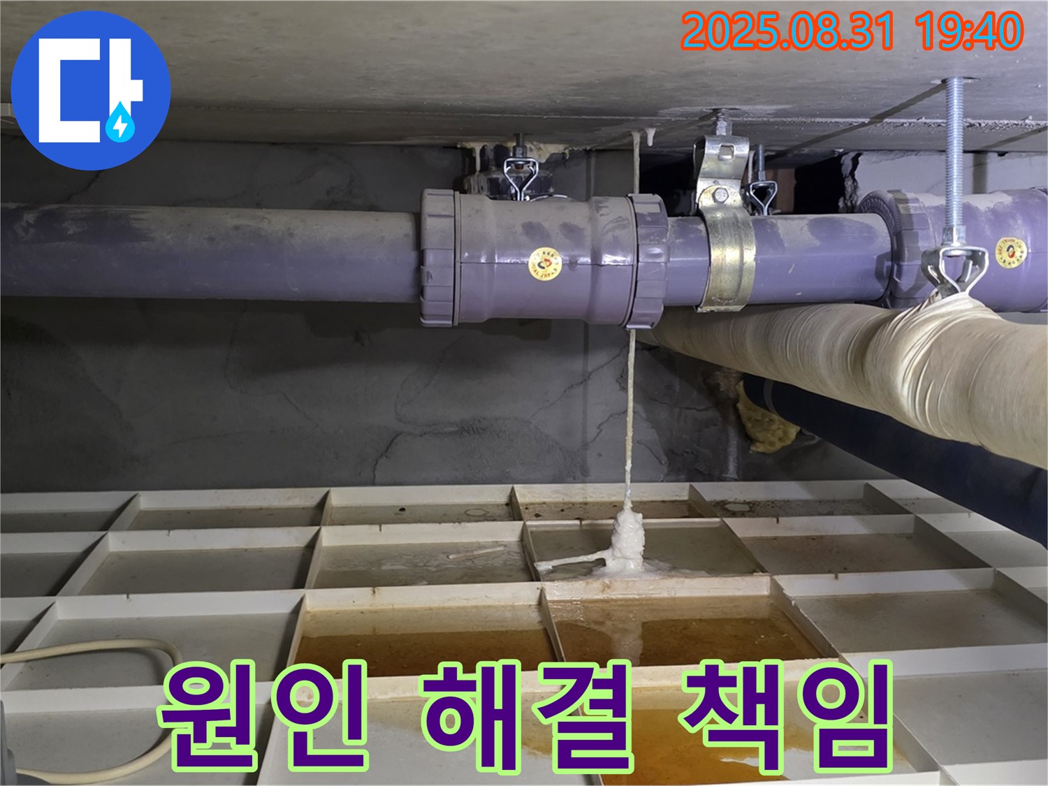 성남시 분당구 정자동 누수 - 누수 원인부터 완벽 해결까지 책임 시공