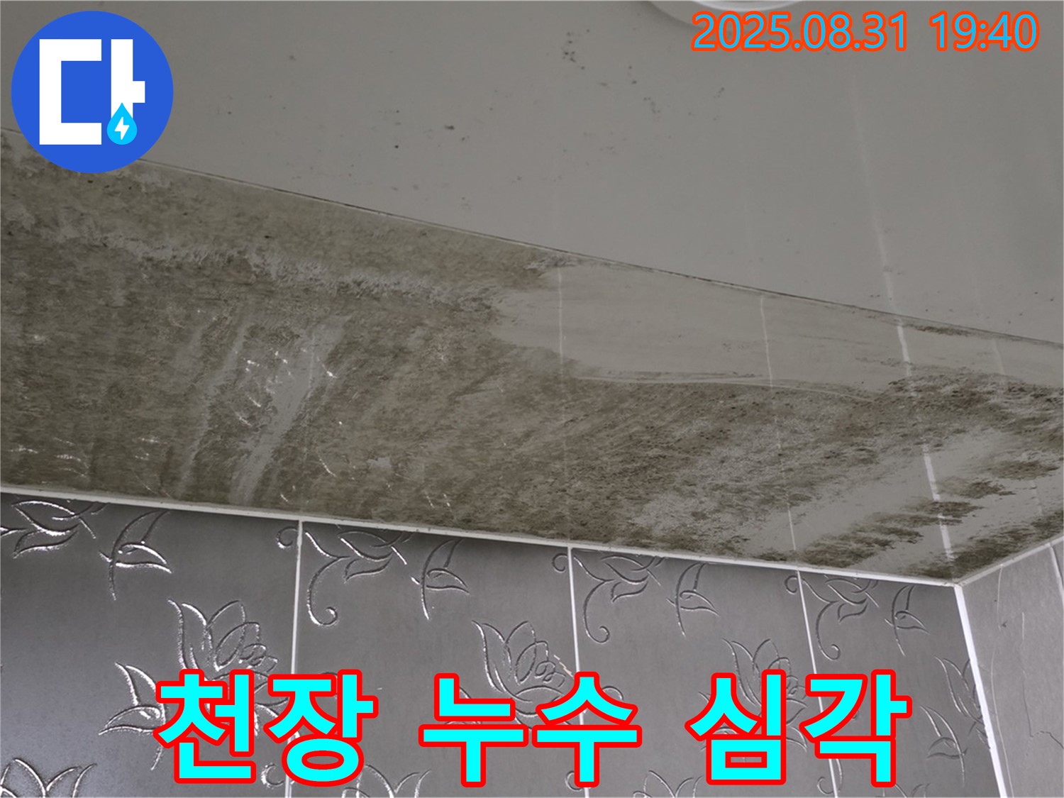 심각한 천장 누수 - 곰팡이 발생으로 인한 문제 해결 필요