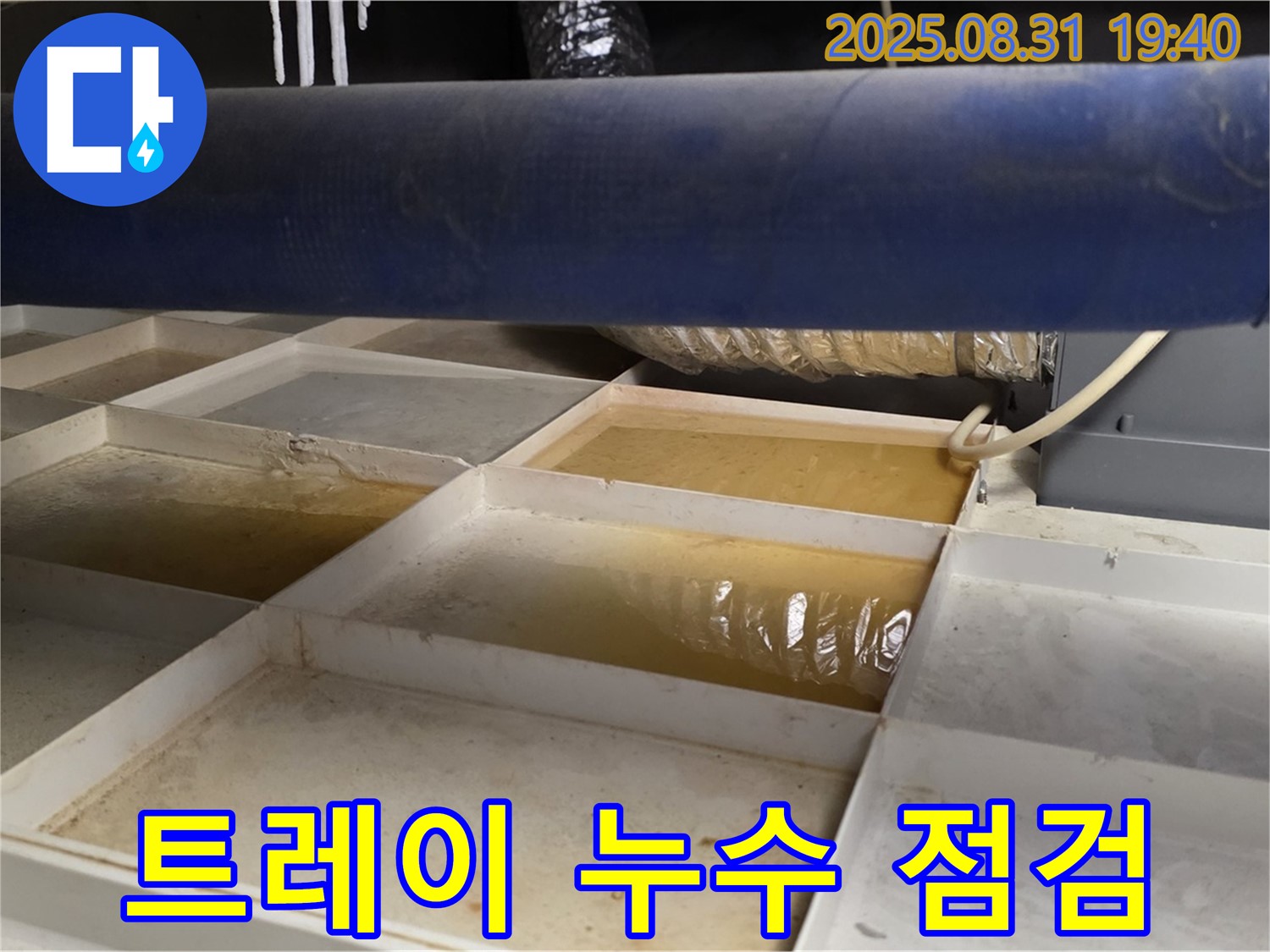 트레이 누수 점검 - 천장에 설치된 트레이에 고인 물을 확인하고 누수 원인을 파악하고 있습니다.