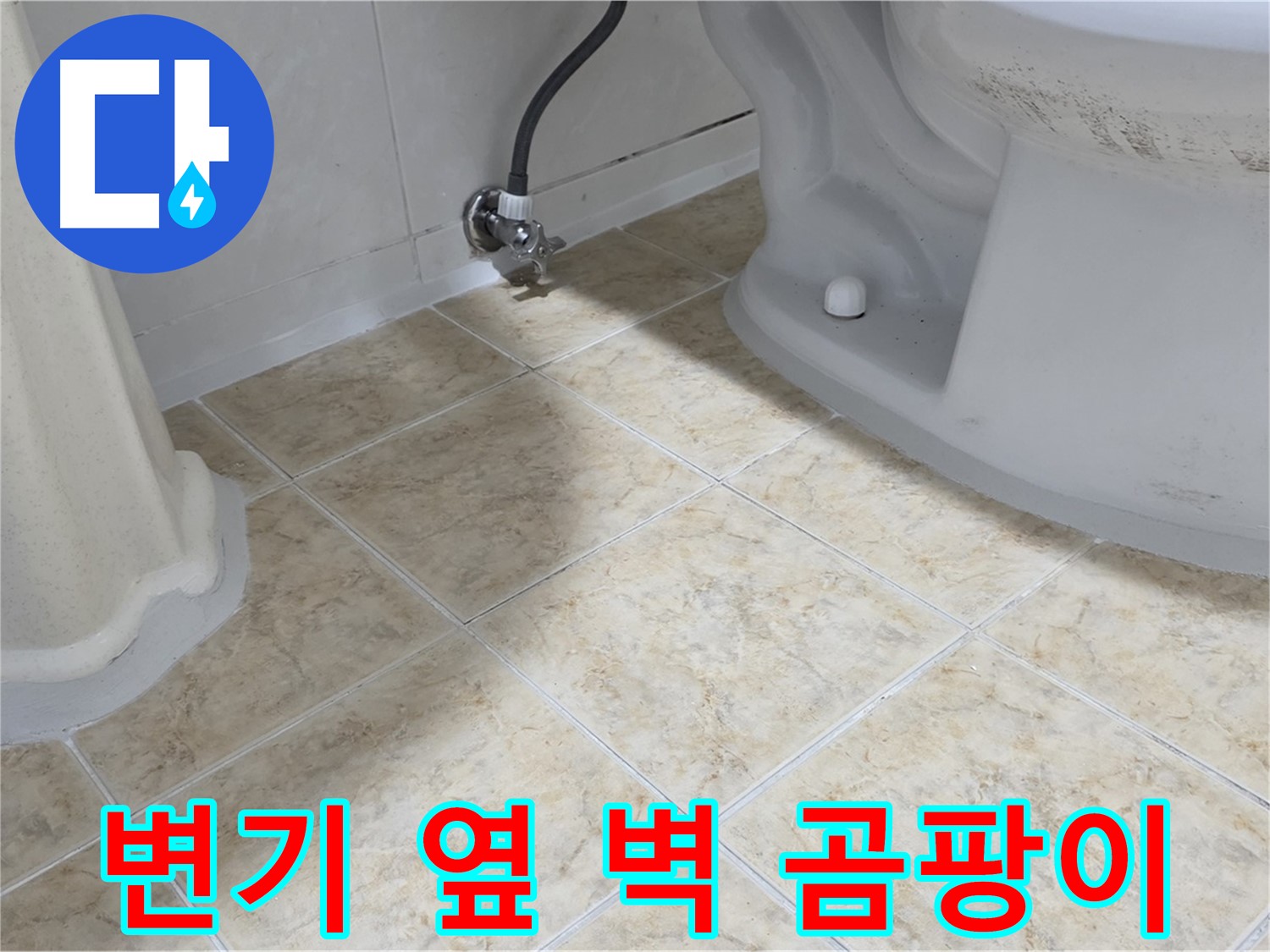 변기 옆 벽면 곰팡이 - 습기 문제