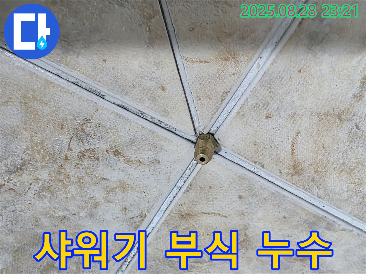 샤워기 연결 부위 부식으로 인한 누수 - 예상치 못한 곳에서 발생했습니다.