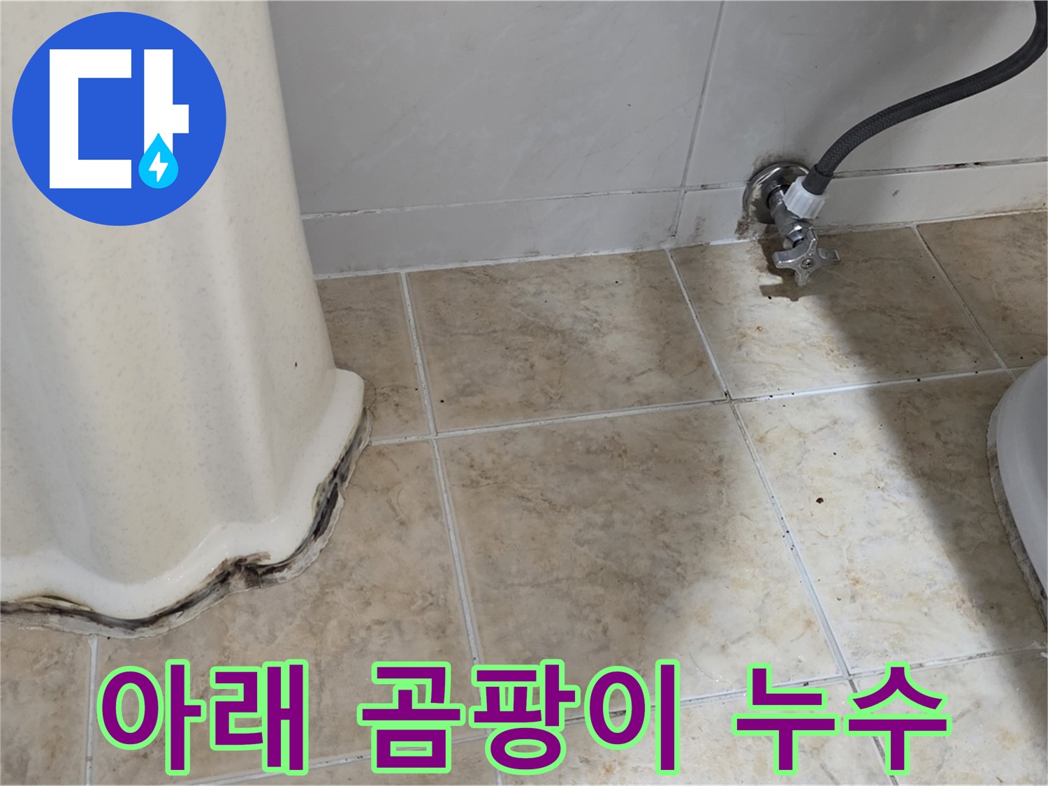 세면대 아래 곰팡이 - 습기 제거가 먼저 - 습기 제거 전문가