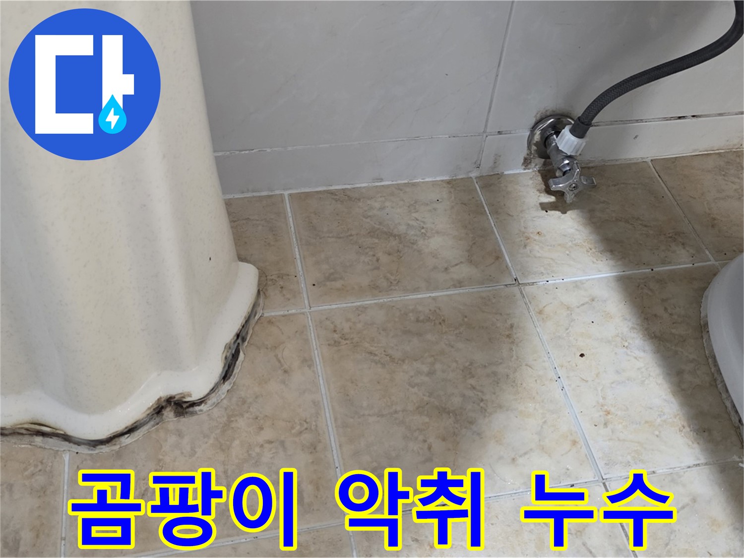 세면대 주변 곰팡이 악취 - 쾌적한 화장실 되찾기 - 냄새 제거 전문가.