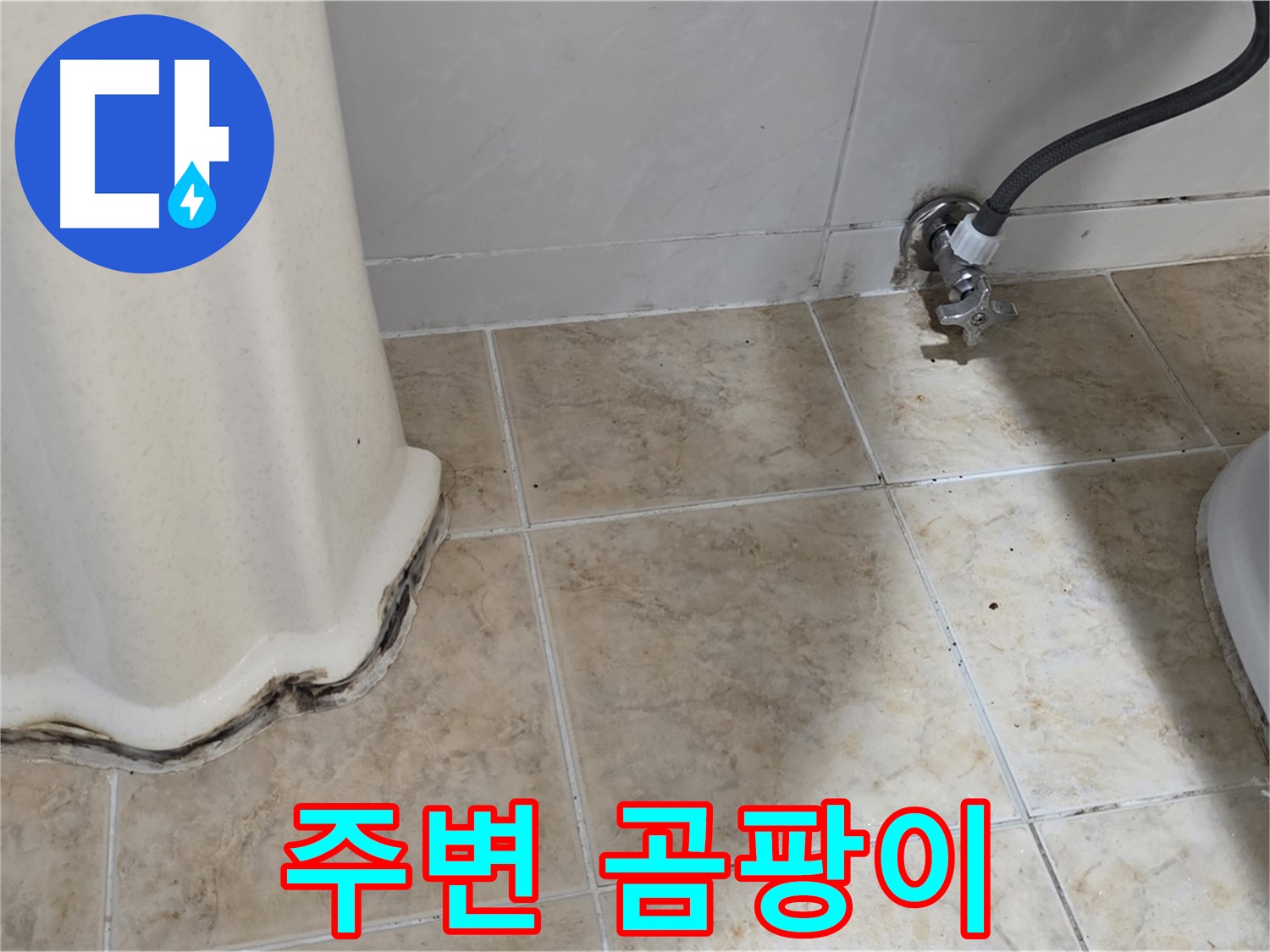 세면대 주변 곰팡이 - 쾌적한 욕실 필수 - 곰팡이 제거 전문가