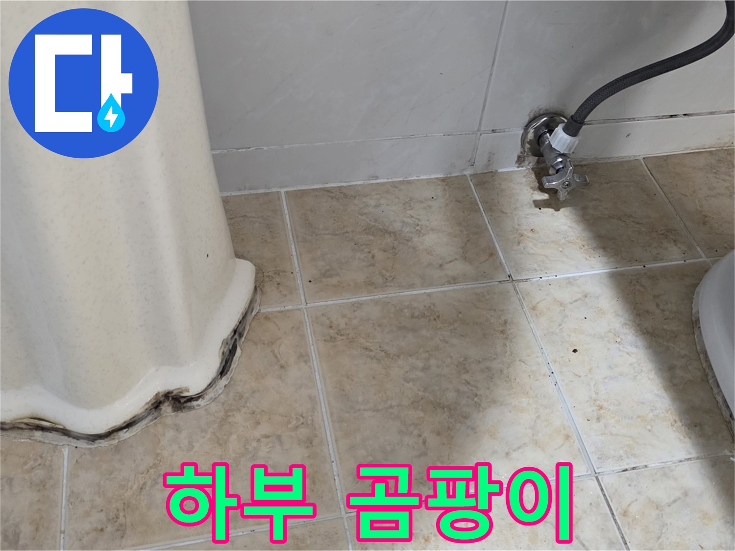 세면대 하부 곰팡이 - 가족 건강 지킴이 - 곰팡이 제거 필수