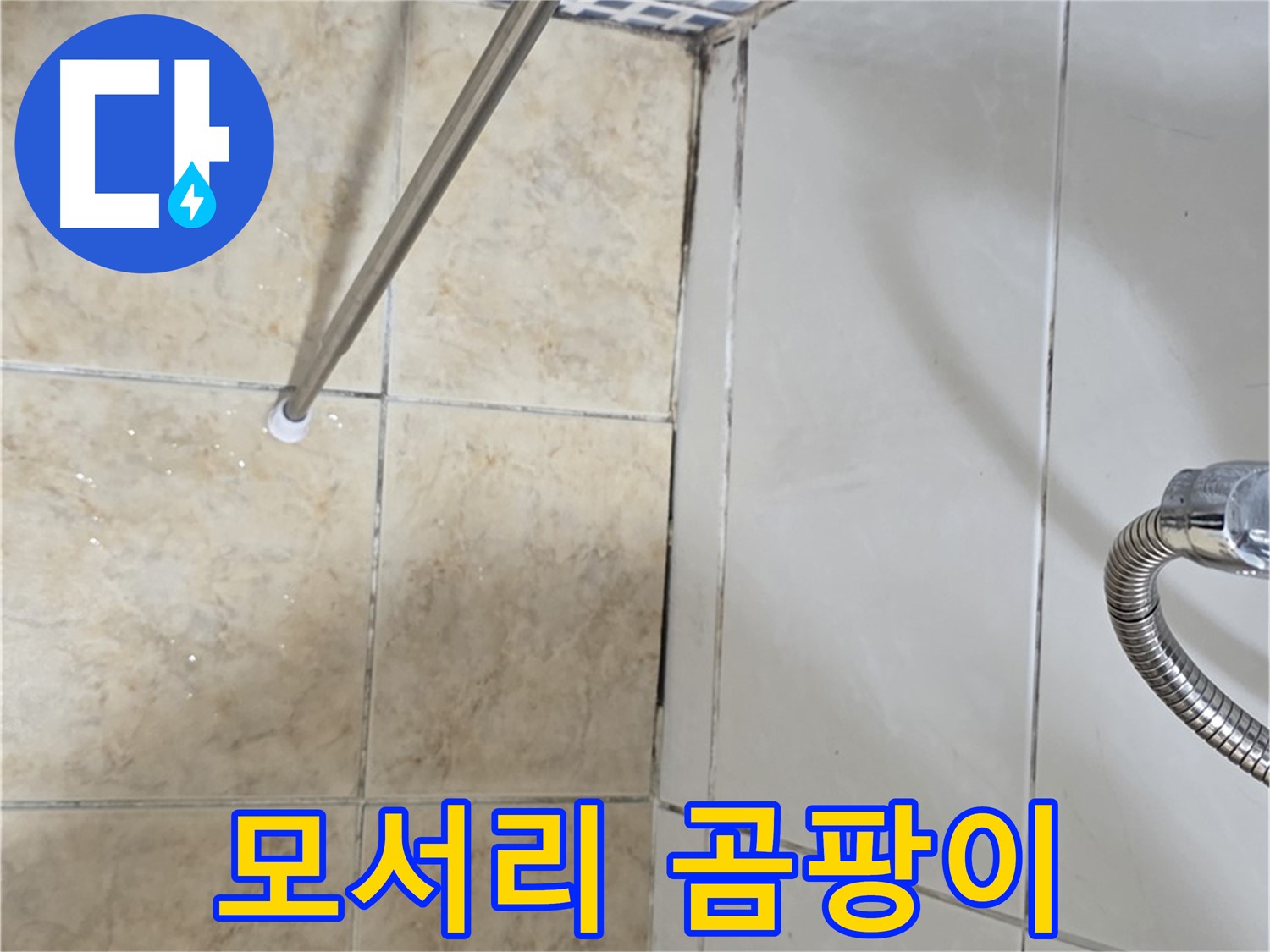 욕실 모서리 곰팡이 - 곰팡이 확산 - 누수 의심