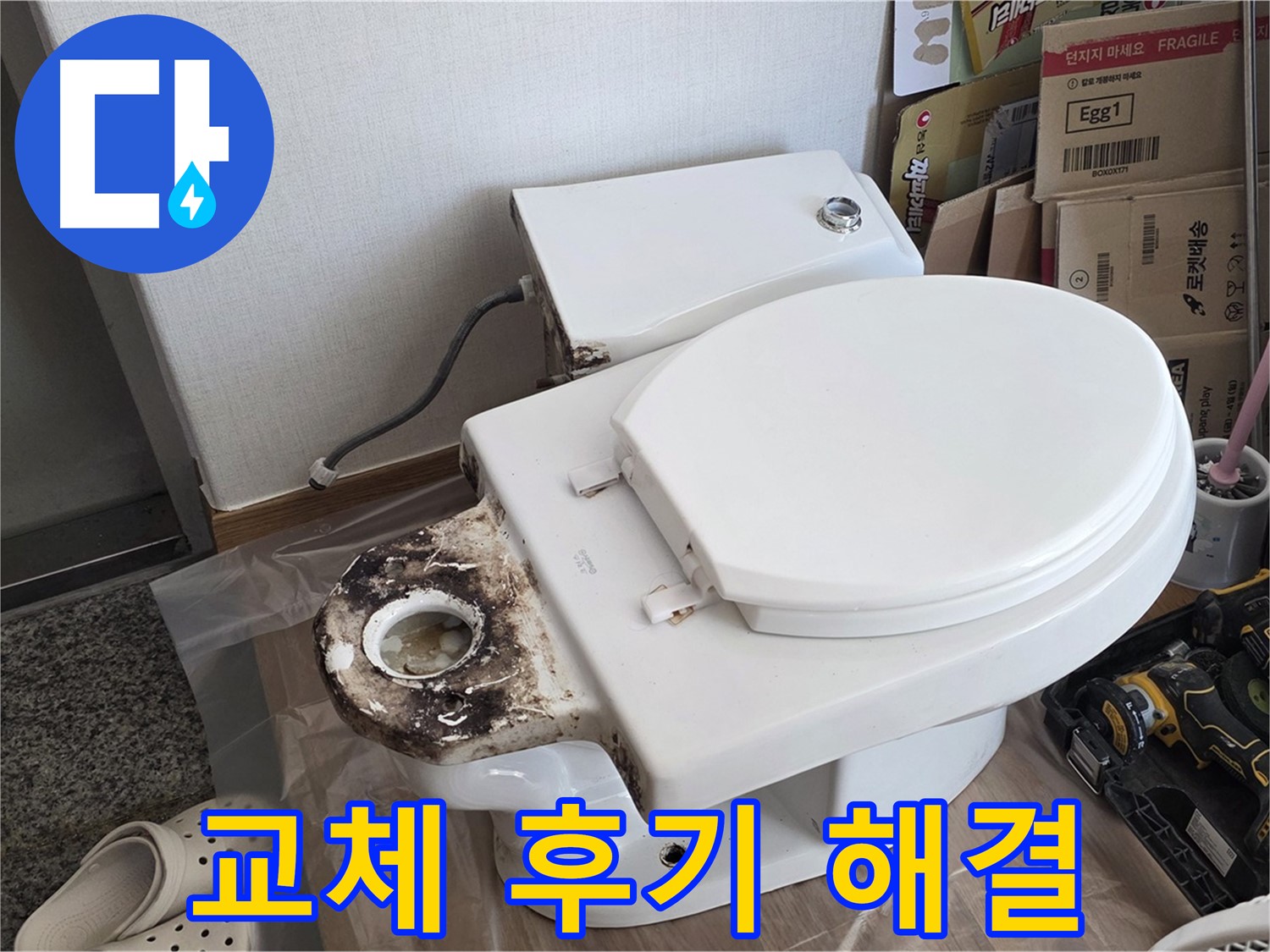 중랑구 묵동 변기 오물 트랩 교체 - 냄새와 벌레를 완벽하게 해결한 후기!
