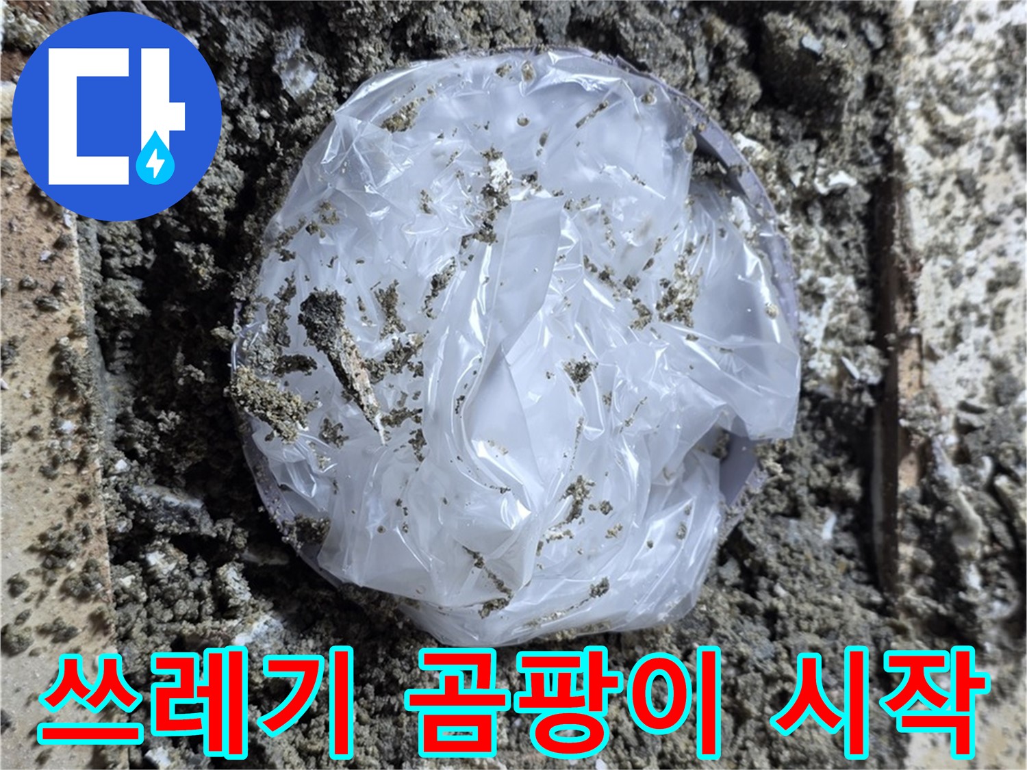 중랑구 묵동 타일 밑 쓰레기 - 곰팡이의 시작