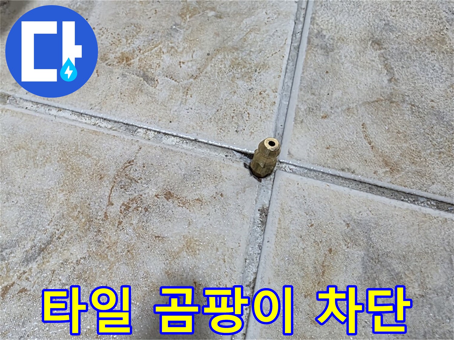 타일 곰팡이 차단 - 타일 틈새 곰팡이, 중랑구 누수 완벽 차단 시공으로 해결합니다.