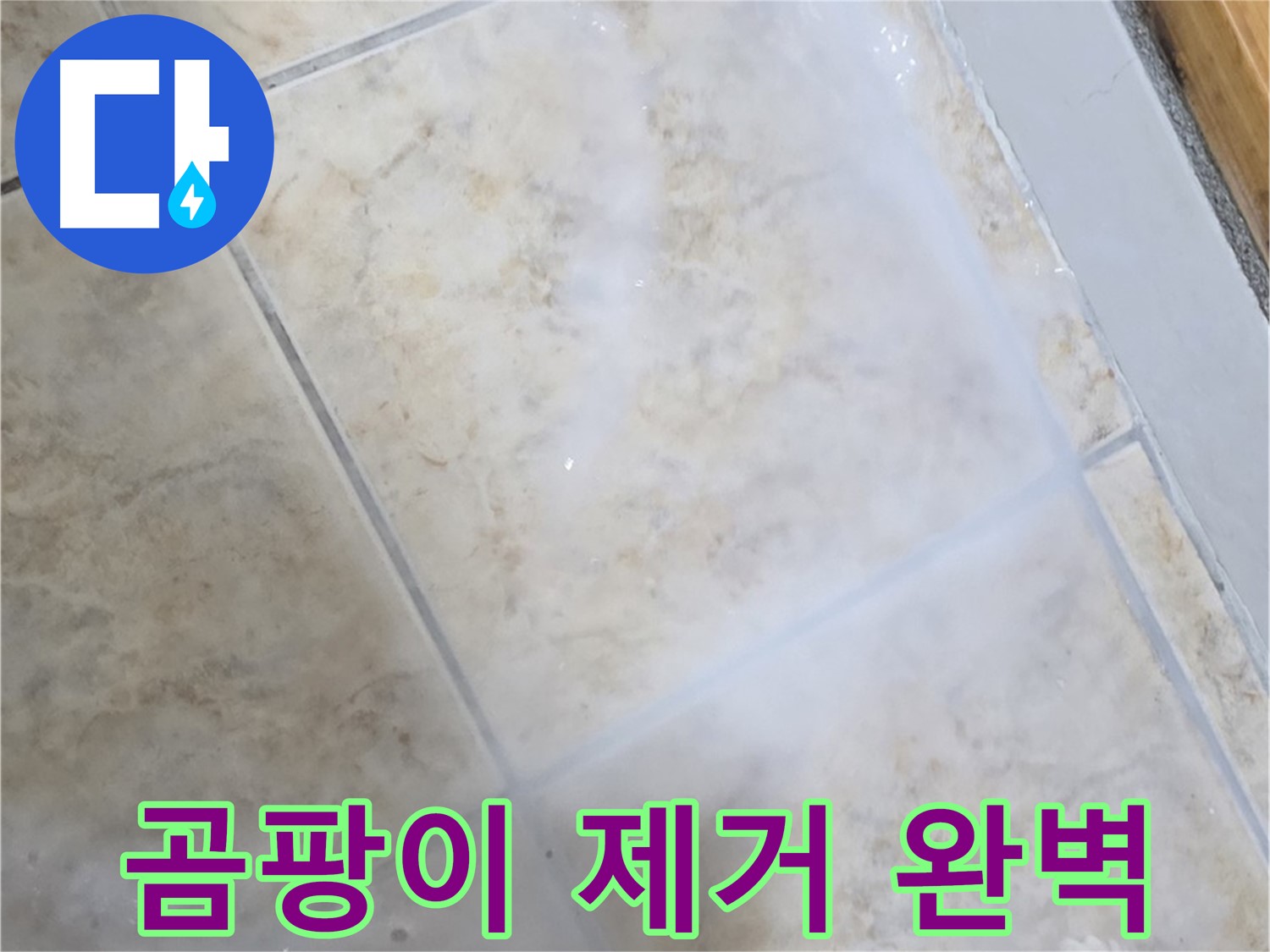 타일 틈새 곰팡이 - 제거부터 완벽하게 - 누수까지 해결!