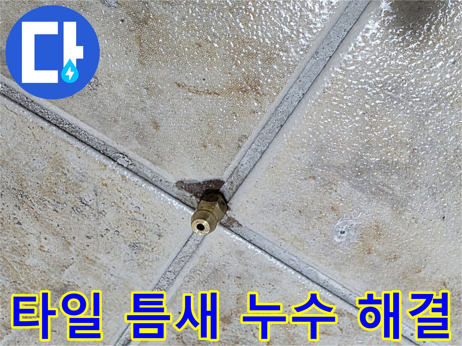 타일 틈새 누수 해결 - 완벽한 시공으로 안심