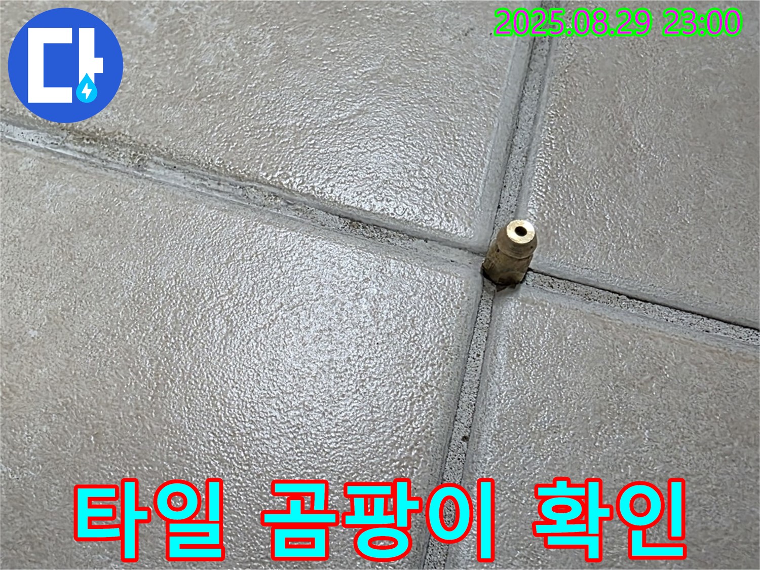 양주 백석 서광아침의빛아파트 누수 - 압력 주입구 주변 타일에 곰팡이가 피어 있는지 확인하고 있습니다.