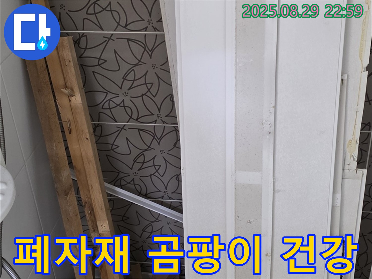 양주 백석 서광아침의빛아파트 누수 - 폐자재 속 곰팡이, 가족 건강을 지키는 것이 최우선!
