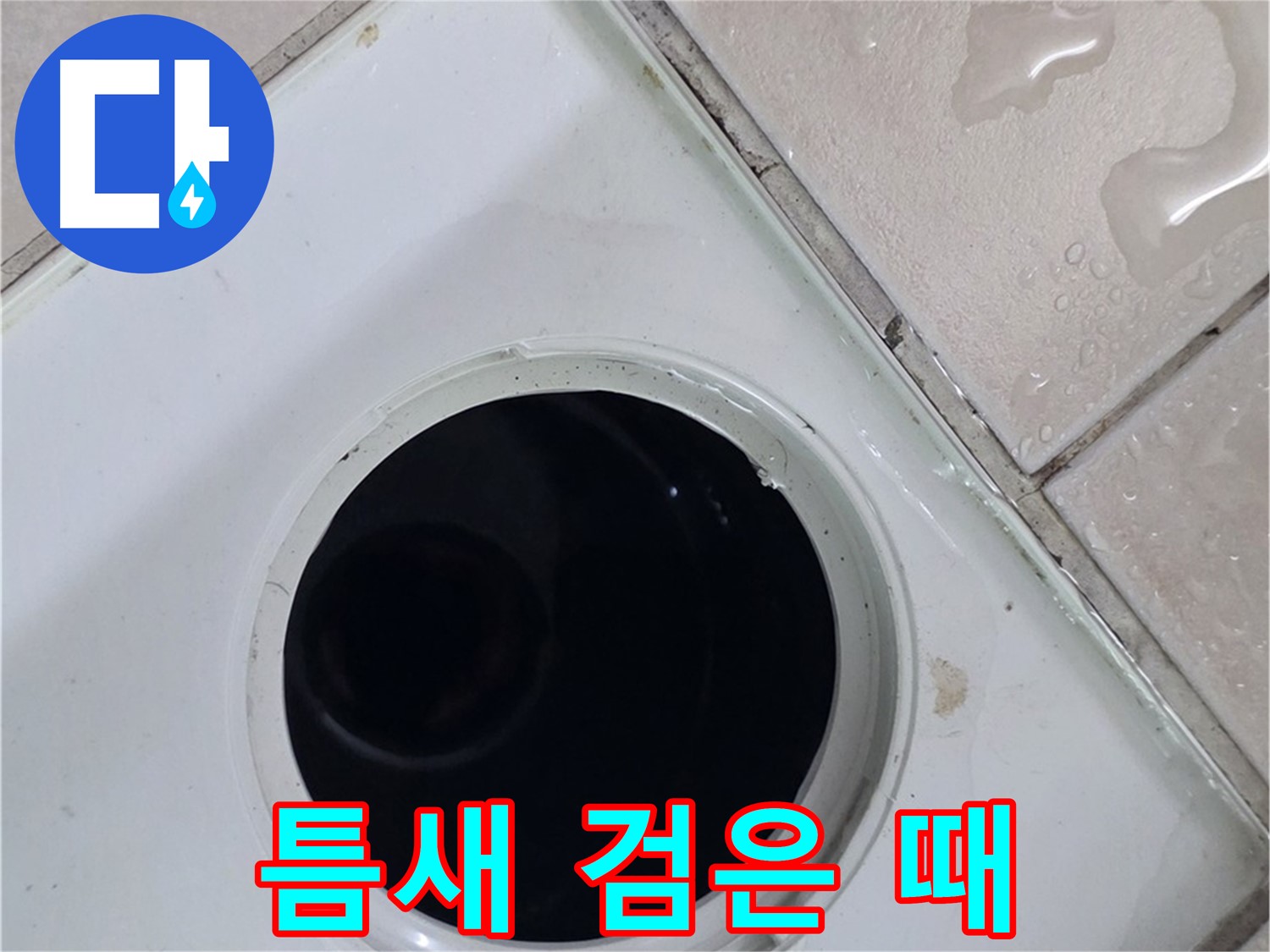 양주 백석 서광아침의빛아파트 욕실 배수구 주변 타일 틈새 검은 때 - 누수 연관성 확인