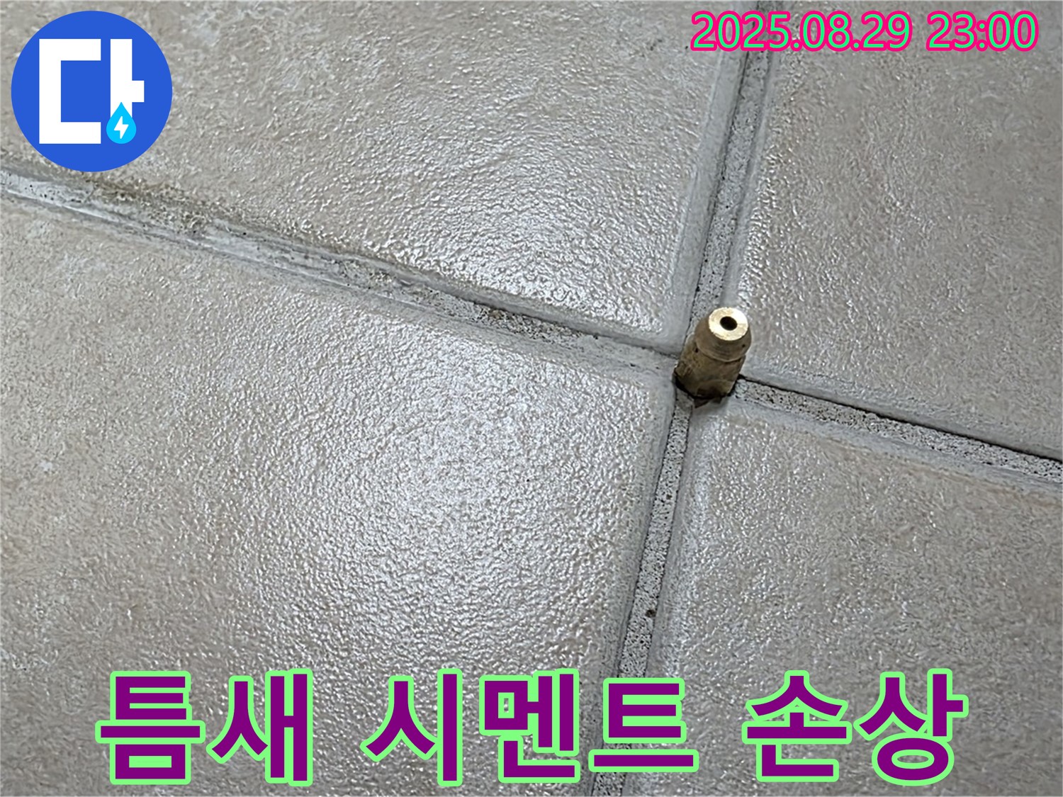 양주 백석 서광아파트 누수 - 압력 주입구 주변 타일 틈새 백시멘트의 손상 여부를 확인하고 있습니다.