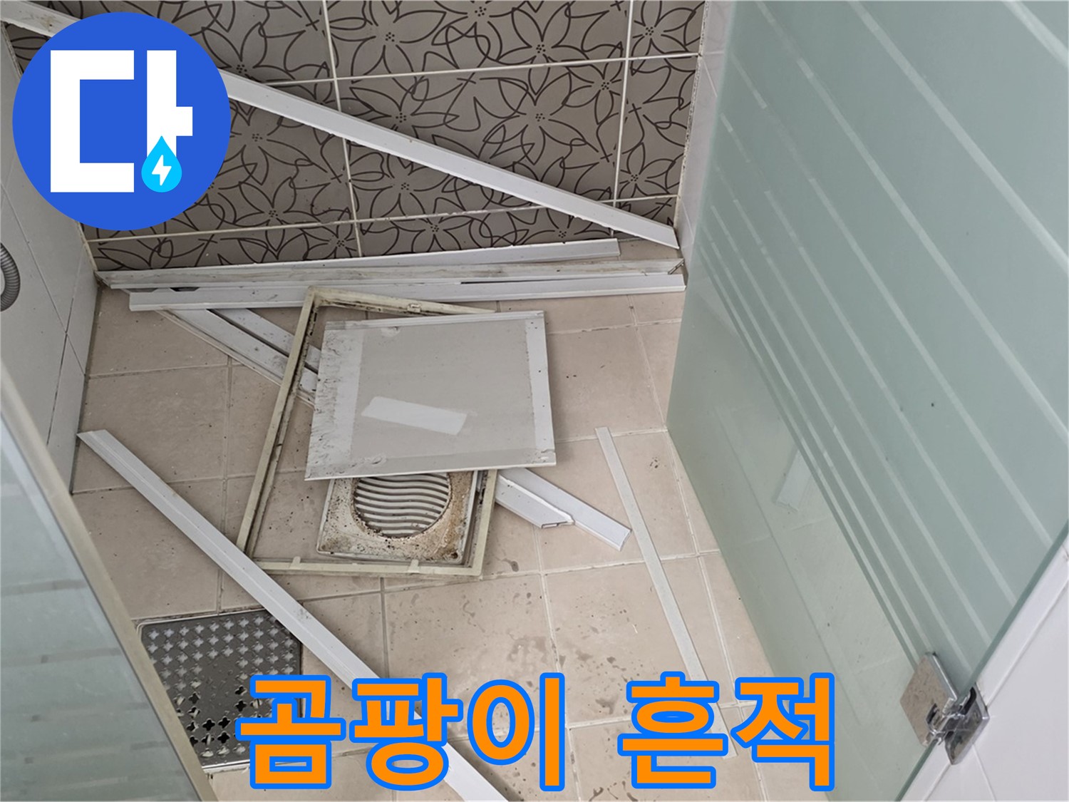 양주 백석 서광아파트 누수 - 점검구 주변, 곰팡이 흔적 발견