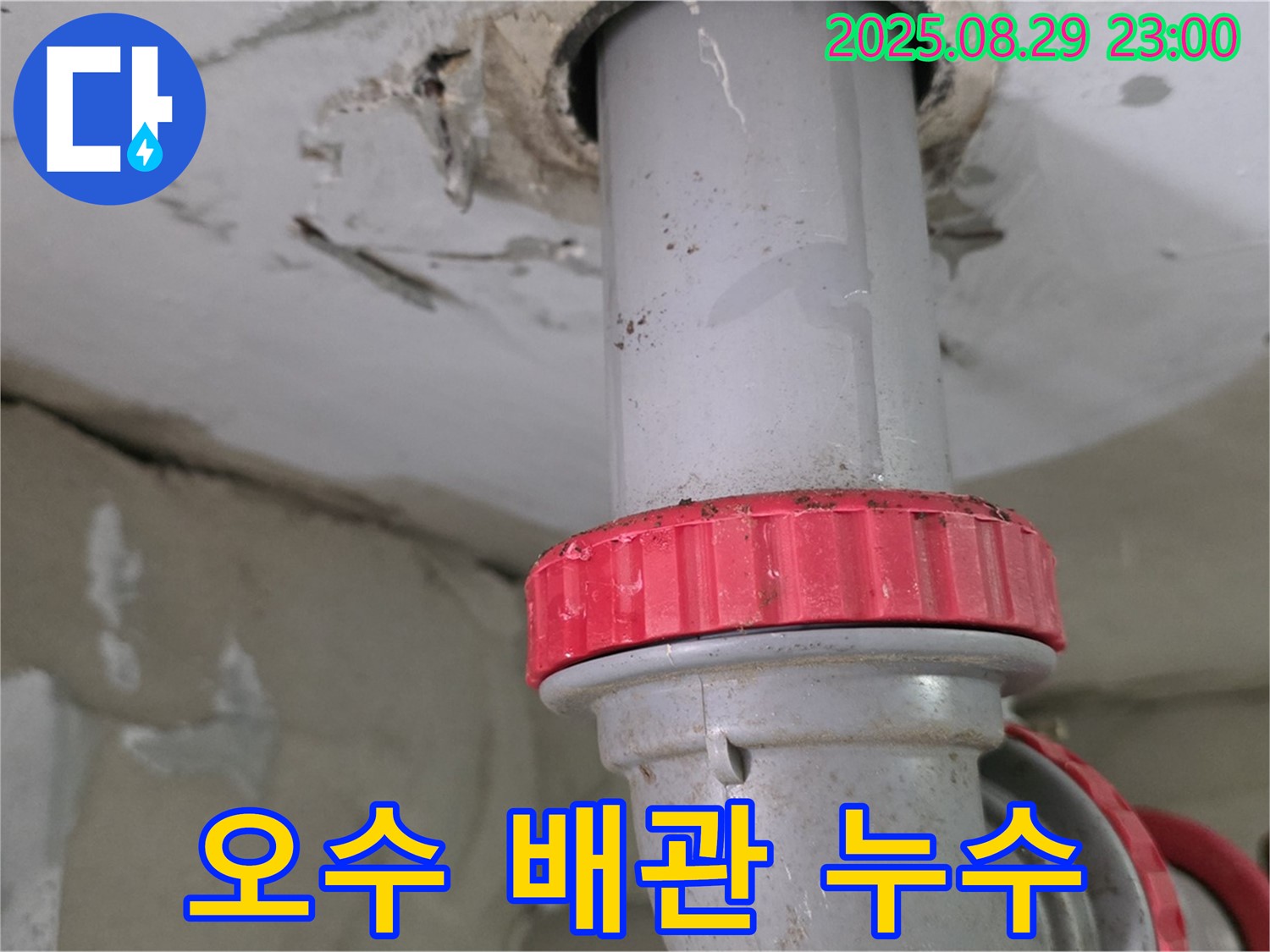 양주 백석 서광아파트 누수 - 천장 오수 배관 연결 불량으로 인한 누수 - 윗집 오수 배관 연결 상태 확인
