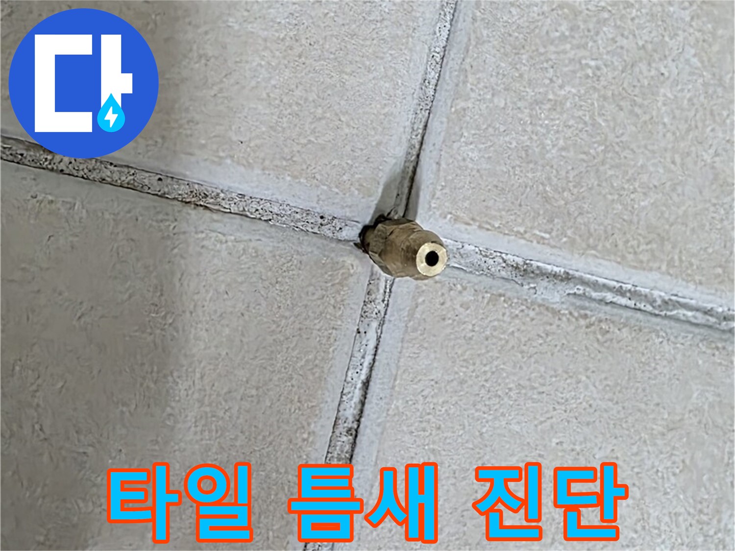 양주 백석 서광아파트 누수 - 타일 틈새의 상태를 꼼꼼하게 점검하여 누수 원인을 진단합니다.