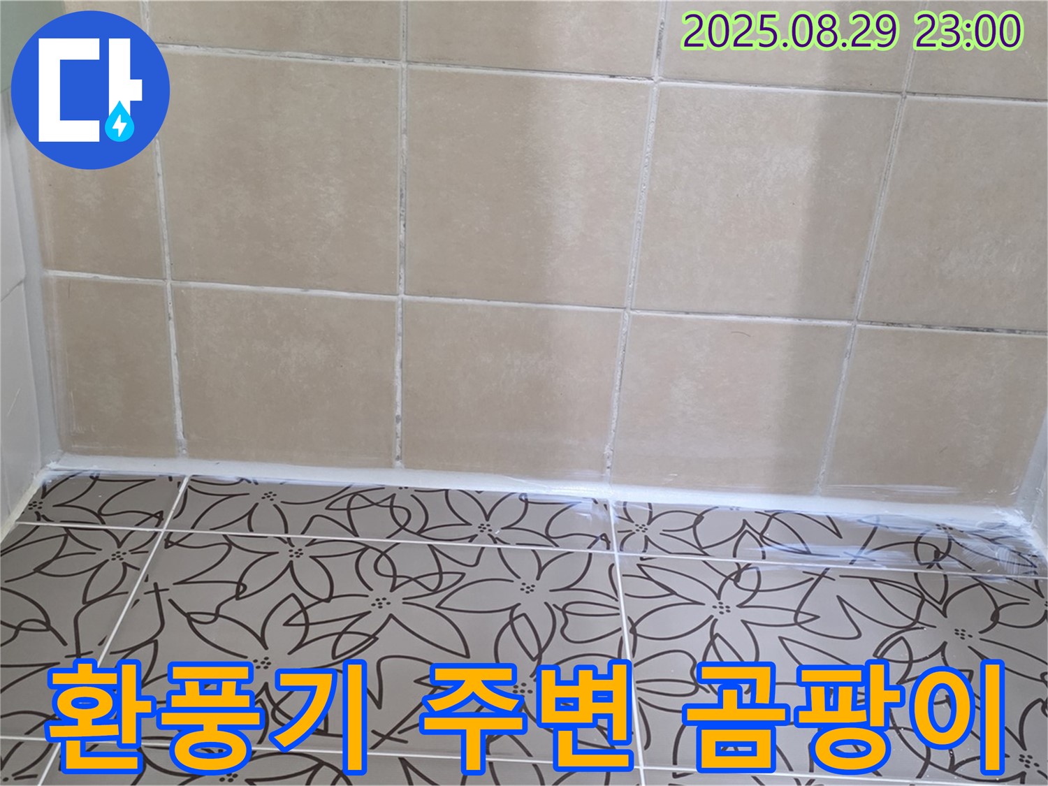 양주 백석 서광아파트 욕실 - 환풍기 주변에 곰팡이가 핀 사진으로 누수 가능성을 보여줍니다.