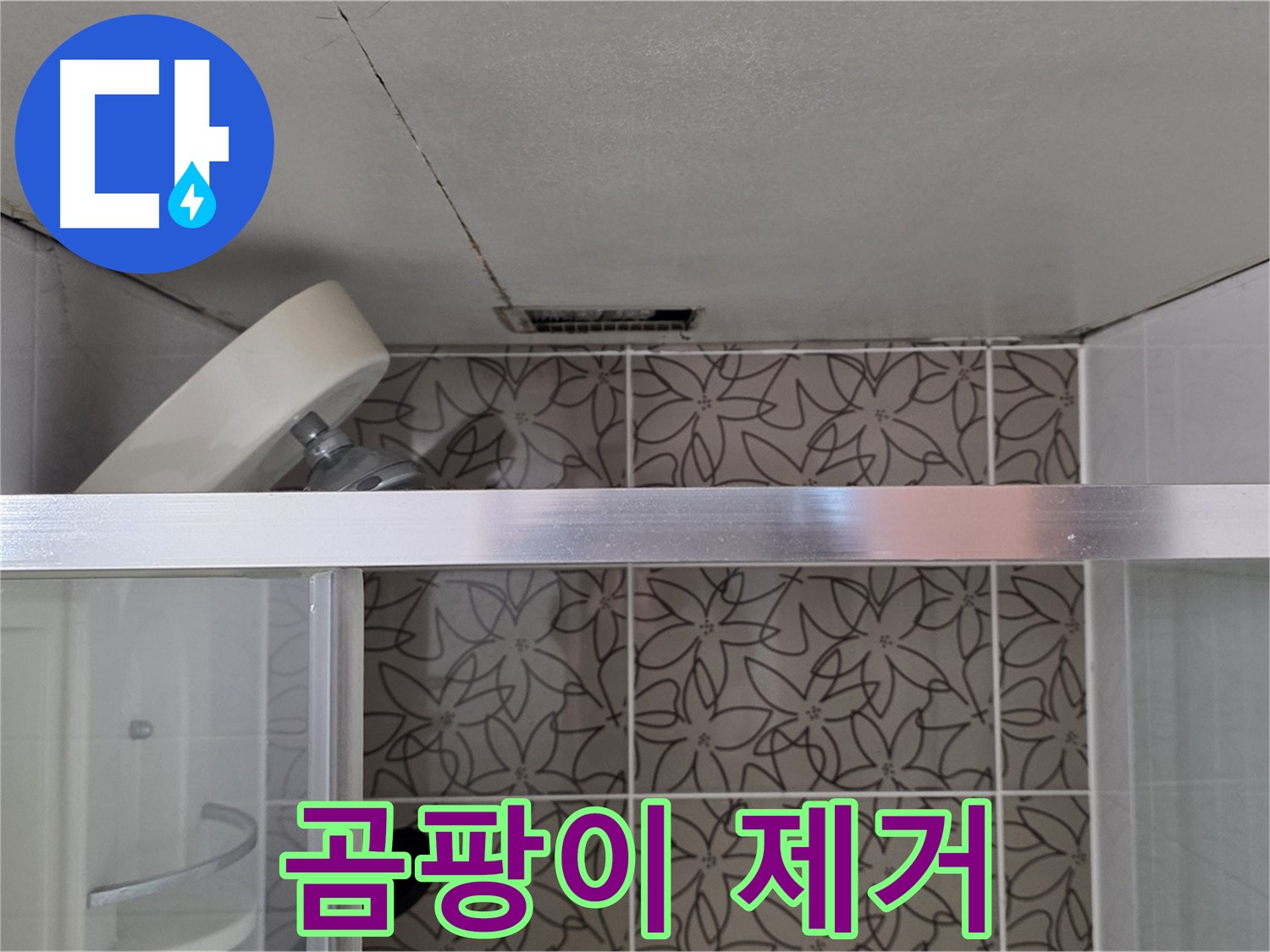 양주시 백석읍 서광아파트 천장 누수 - 곰팡이 제거 서비스 제공