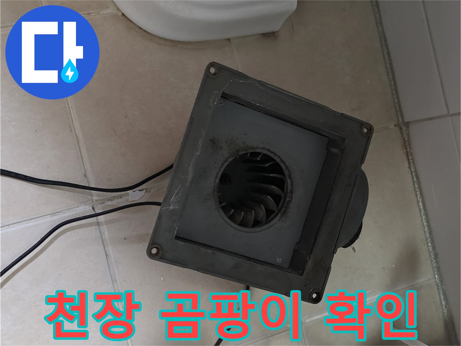 양주시 서광아파트 천장 누수 흔적 - 곰팡이 발생, 물 얼룩