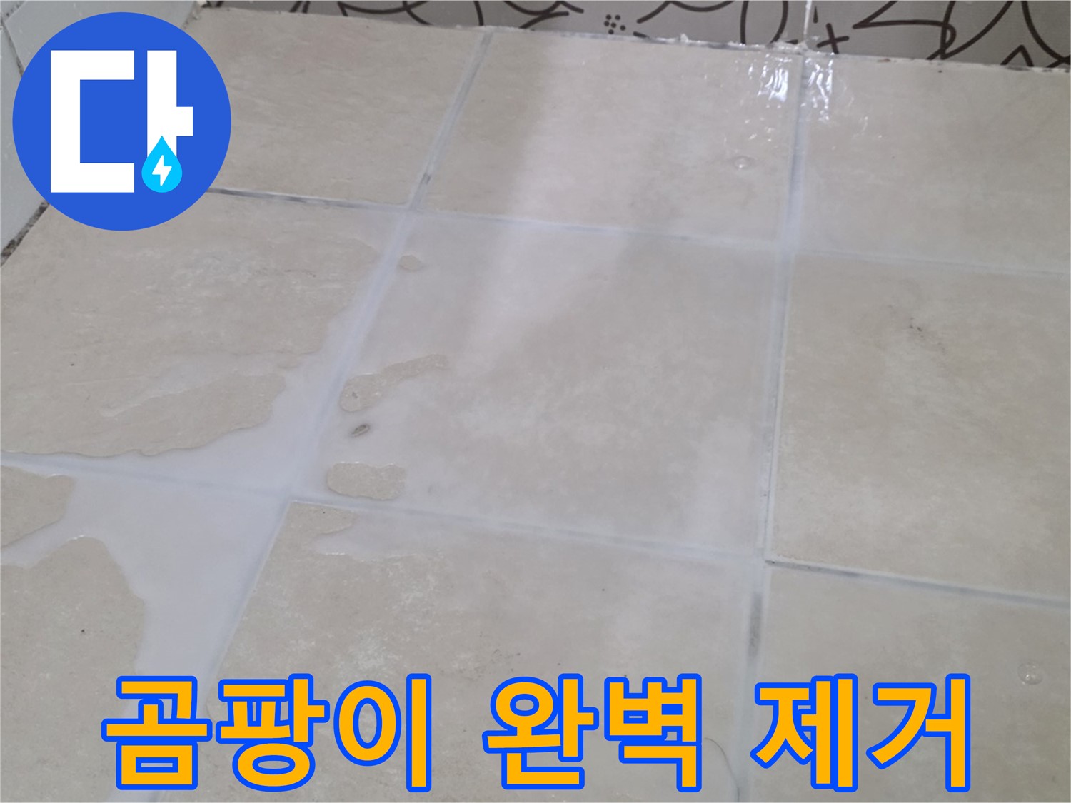욕실 타일 틈새 곰팡이 완벽 제거 - 건강하고 쾌적한 욕실 환경 조성