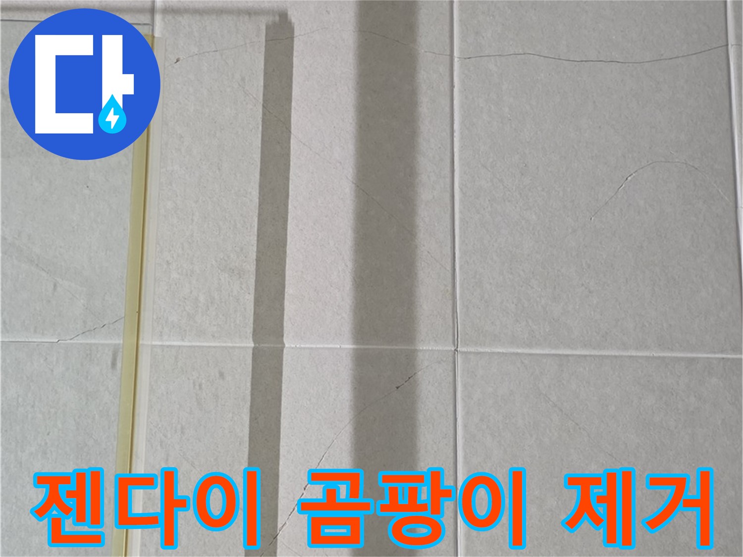 산운마을 젠다이 누수 - 곰팡이 발생 원인 분석 및 효과적인 제거 방법