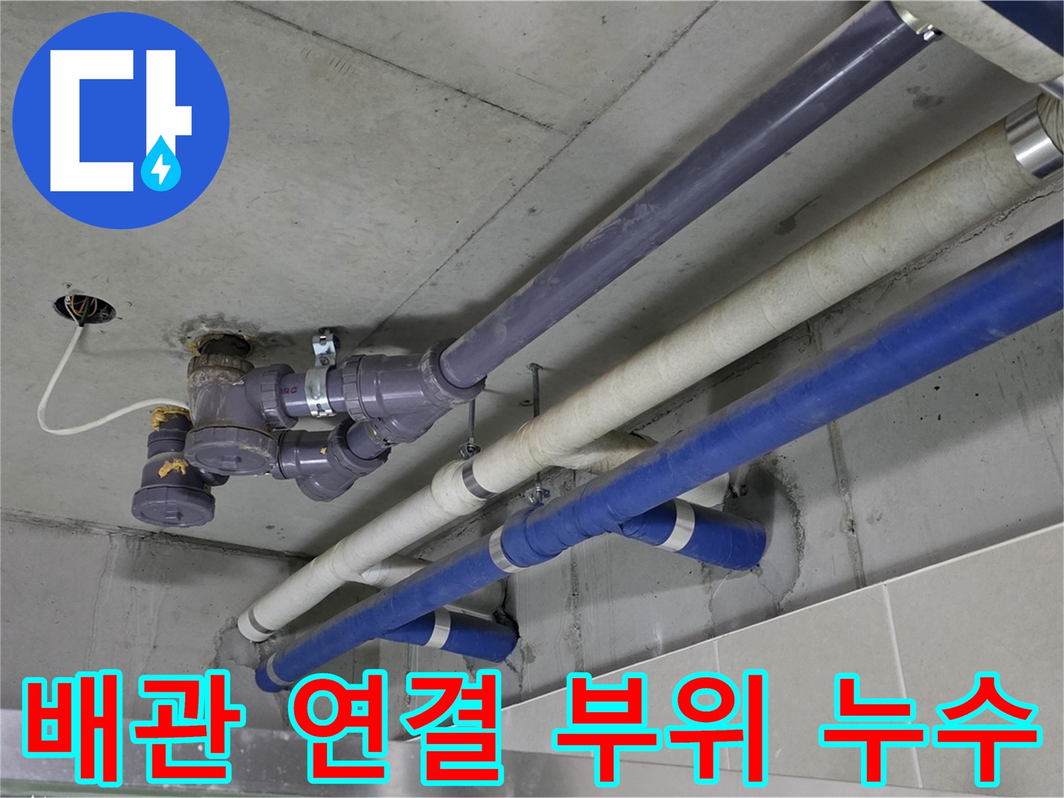 분당 운중동 배관 연결 부위 누수 - 정확한 위치 파악 및 보수