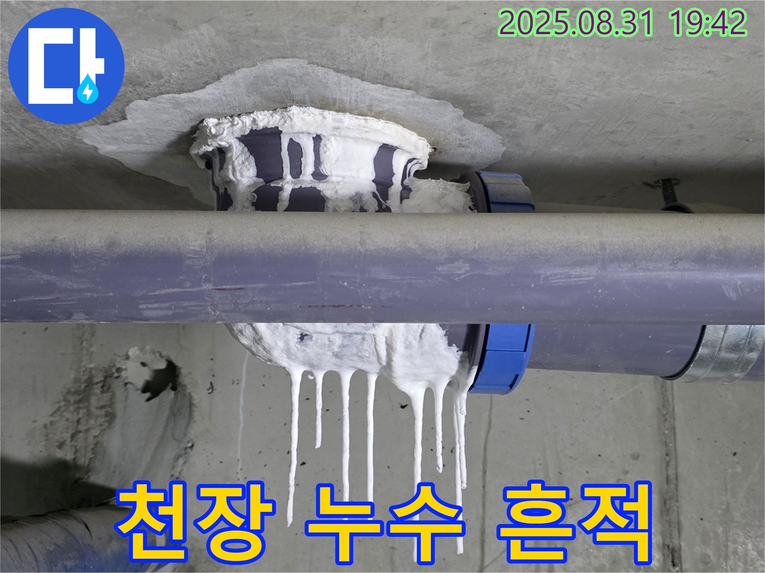 분당 운중동 산운마을 누수 - 천장에 넓게 퍼진 석회수 자국 - 완벽 보수, 재발 방지 약속