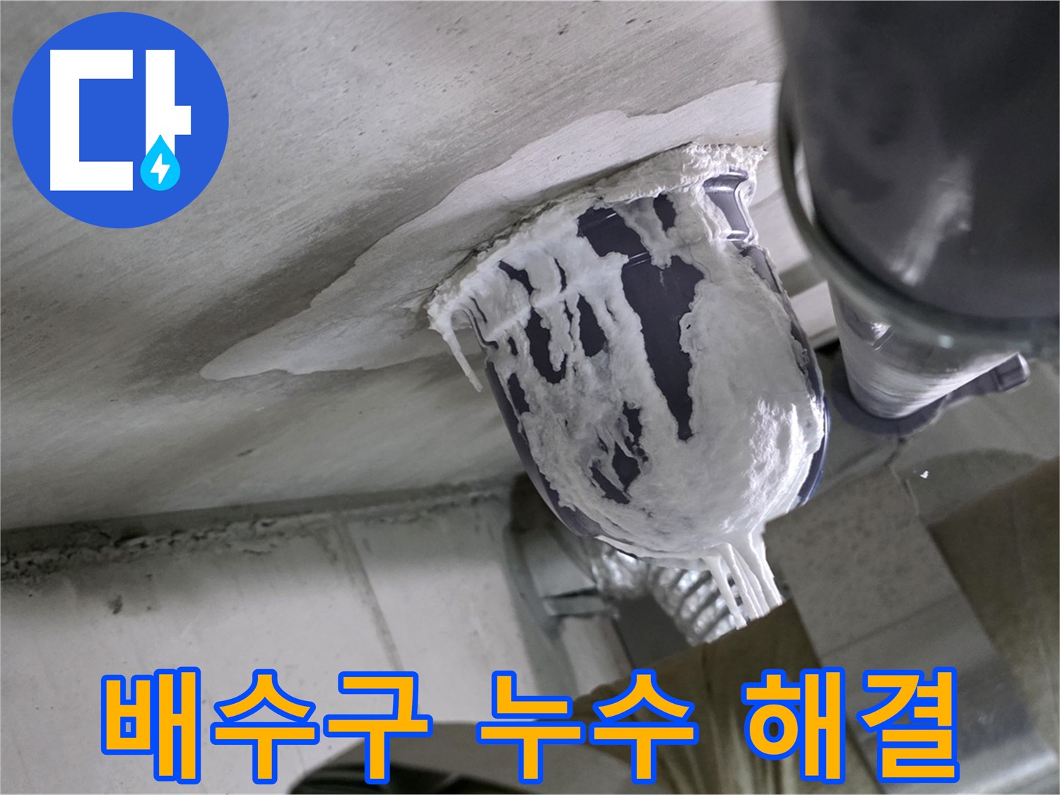 분당 운중동 산운마을 - 배수구 주변 누수, 책임지고 해결 완료