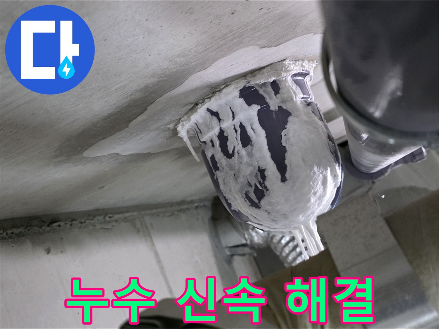 분당 운중동 산운마을 - 빠른 누수 해결로 고객 불편 최소화 완료