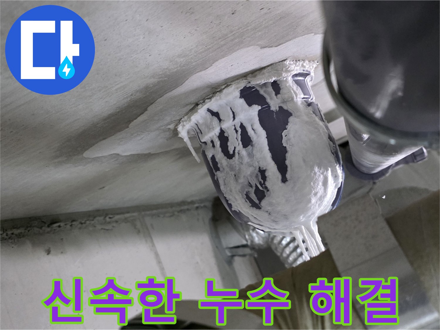 분당 운중동 산운마을 - 신속한 누수 해결로 고객 불편 최소화