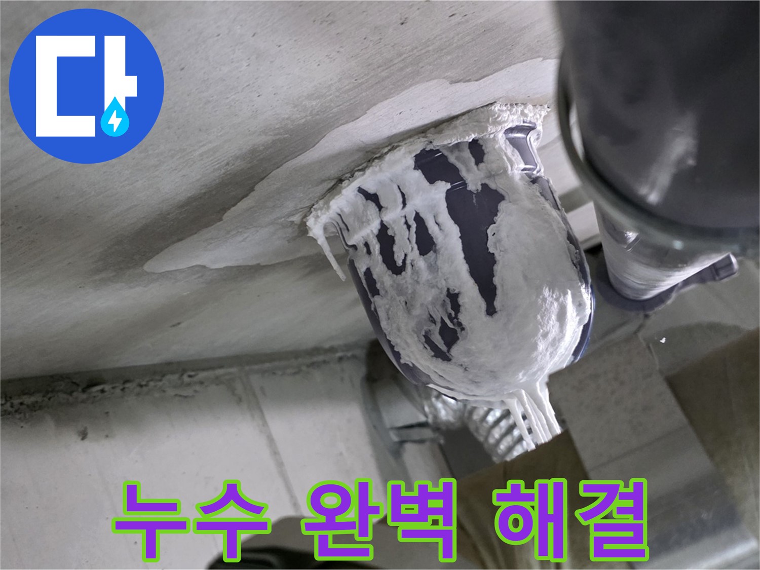 분당 운중동 산운마을 - 완벽한 누수 해결로 고객 만족 극대화 완료