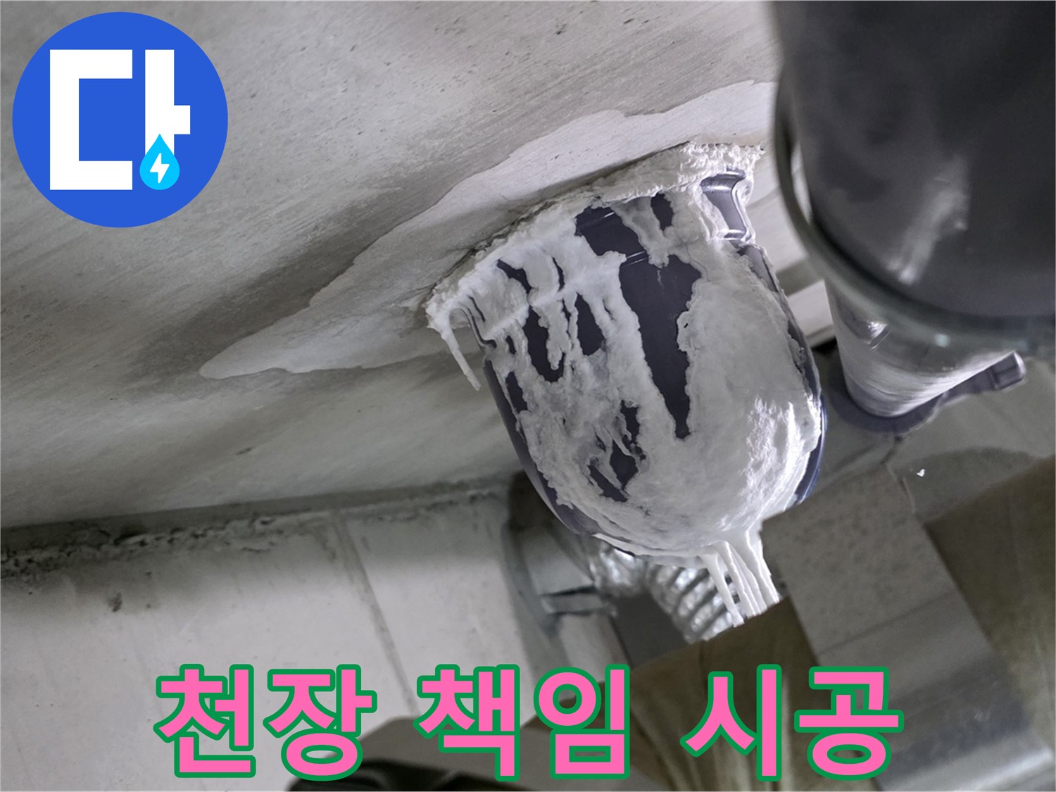 분당 운중동 산운마을 - 천장 배관 누수, 책임지고 해결 완료