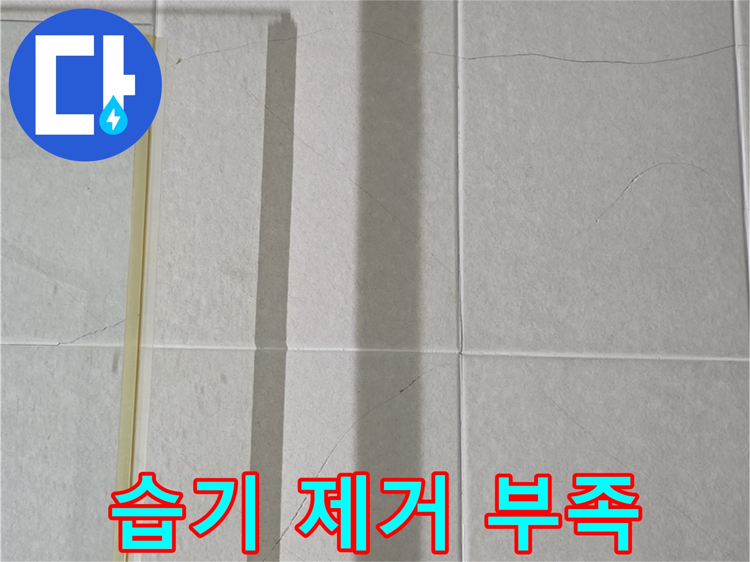 분당 운중동 샤워부스 - 벽면 타일 틈새 누수, 샤워기 사용 후 습기 제거 부족으로 인한 누수