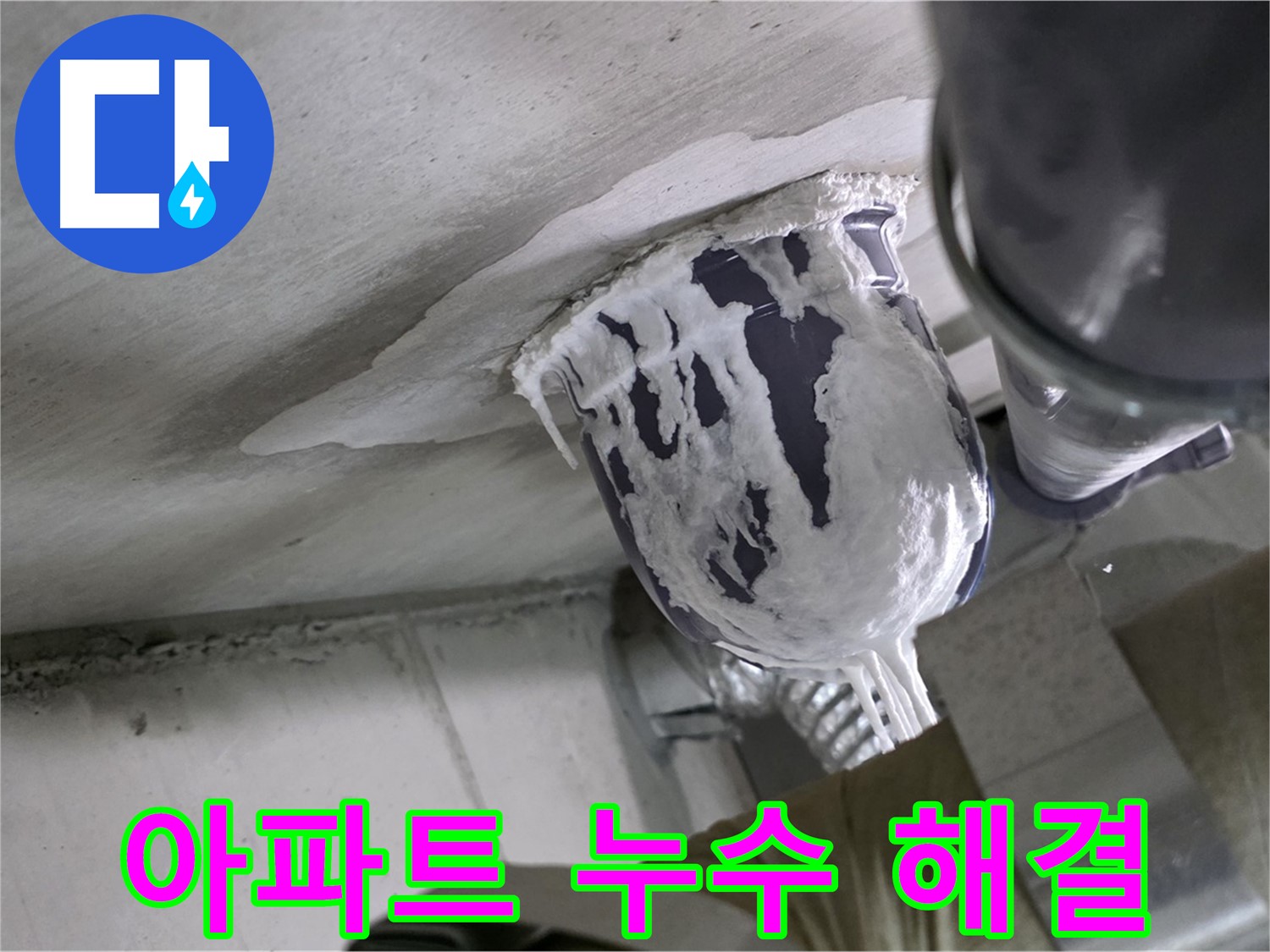 분당 운중동 아파트 누수 - 아파트 누수 문제 완벽하게 해결