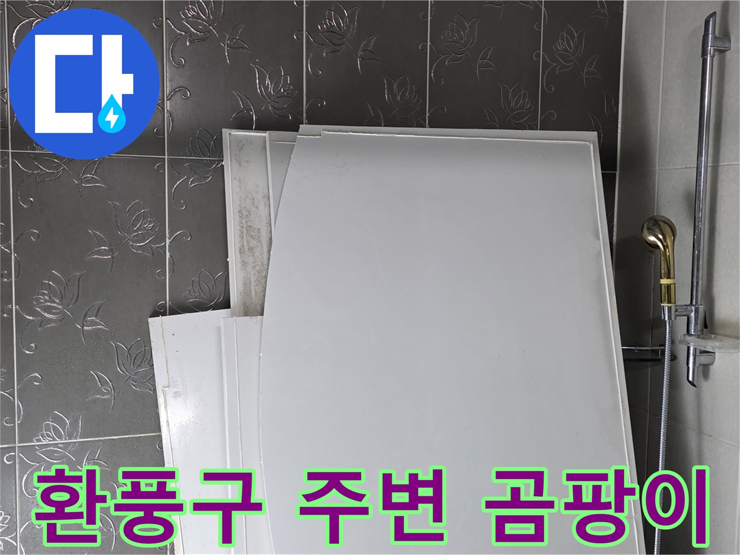 분당 운중동 욕실 - 환풍구 주변 곰팡이, 누수가 원인일 수 있어요 - 꼼꼼한 점검