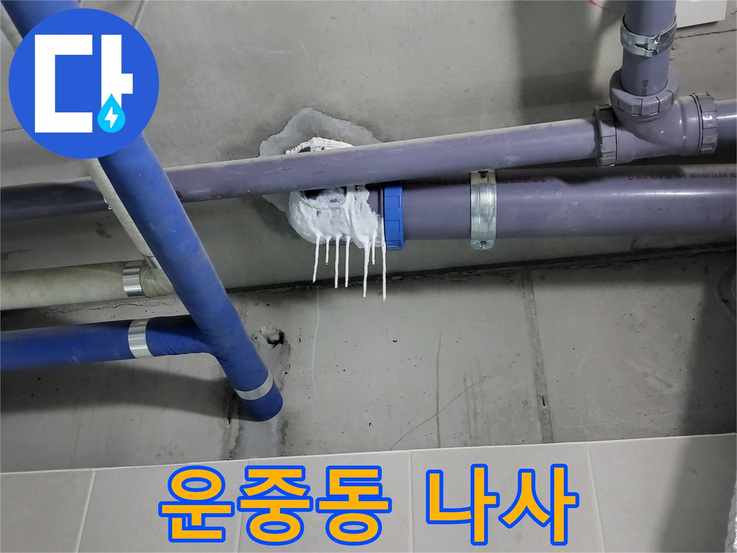 분당구 운중동 하수 누수 - 배관 연결 부위 나사 풀림