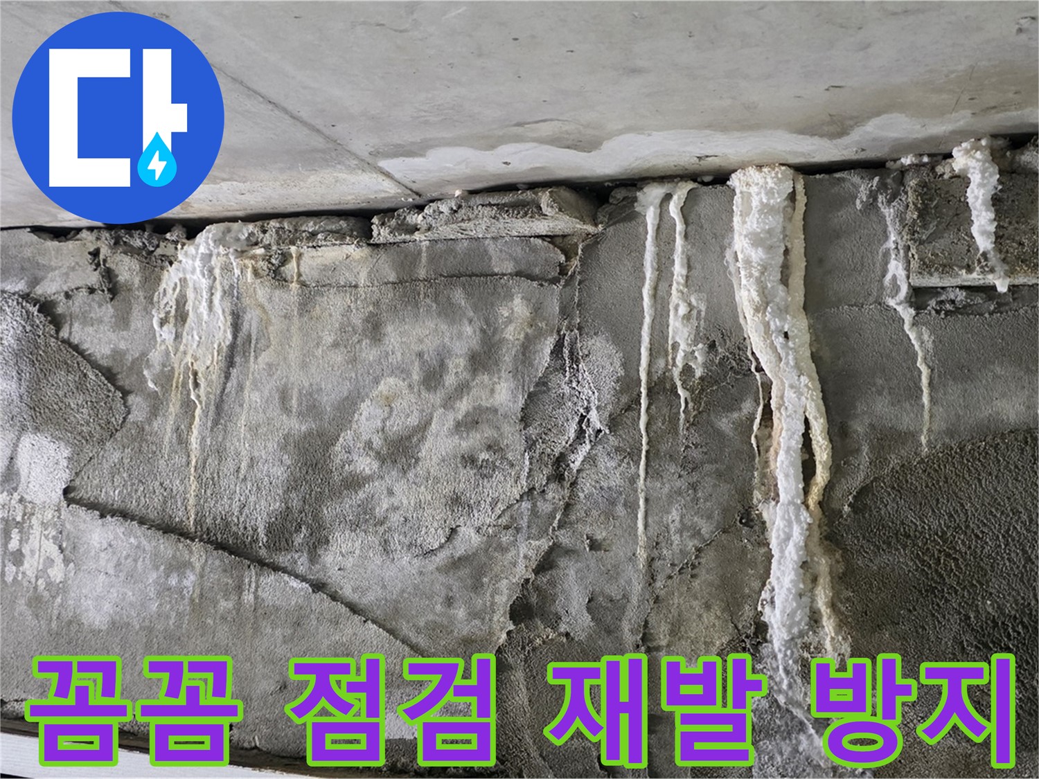 운중동 누수 해결 - 꼼꼼한 점검으로 누수 재발 방지