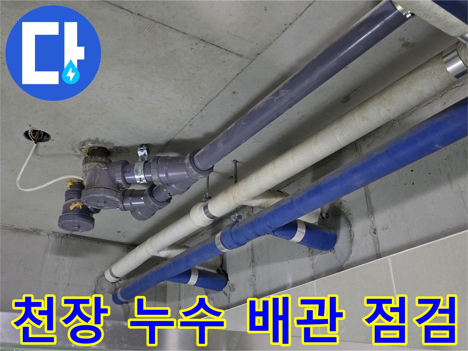 성남 분당 산운마을 상가 천장 누수 배관 점검 - 꼼꼼한 진단과 해결