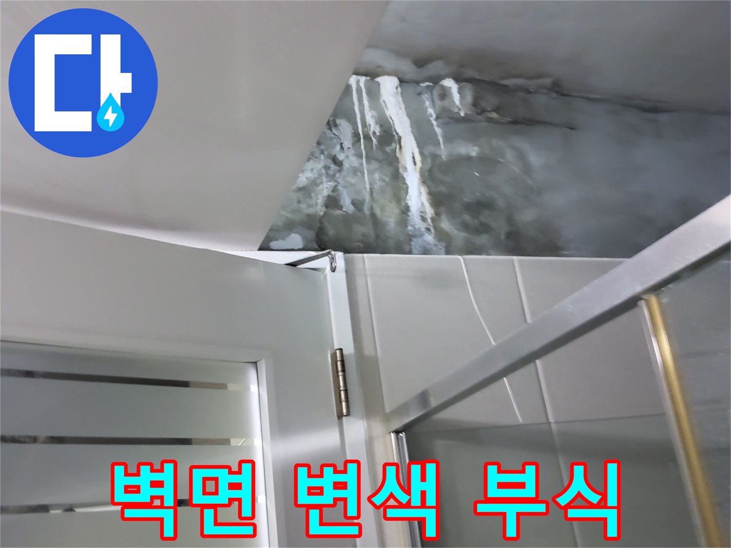 성남 분당 샤워부스 벽면의 심각한 변색과 부식 진행 - 누수 원인 정밀 점검