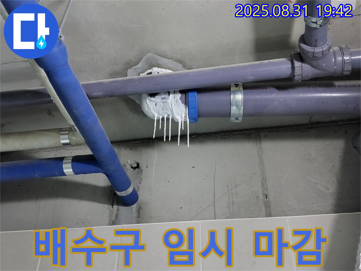 성남 분당 운중동 산운마을 욕실 누수 - 배수구 주변 실리콘 임시 마감 작업 중