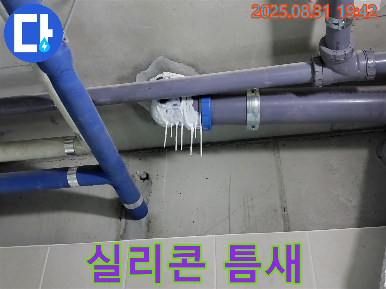 성남시 분당구 운중동 산운로 주택 욕실 누수 - 핀 시공 후 실리콘 틈새 발생 확인